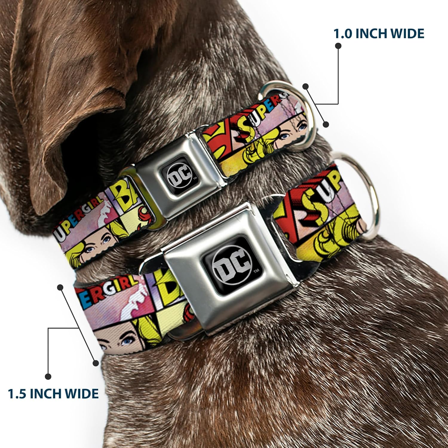 Buckle-Down Seatbelt Buckle Dog Collar - Superheroines Wonder Woman/Supergirl/Batgirl - 1" Wide - Fits 9-15" Neck - Small
