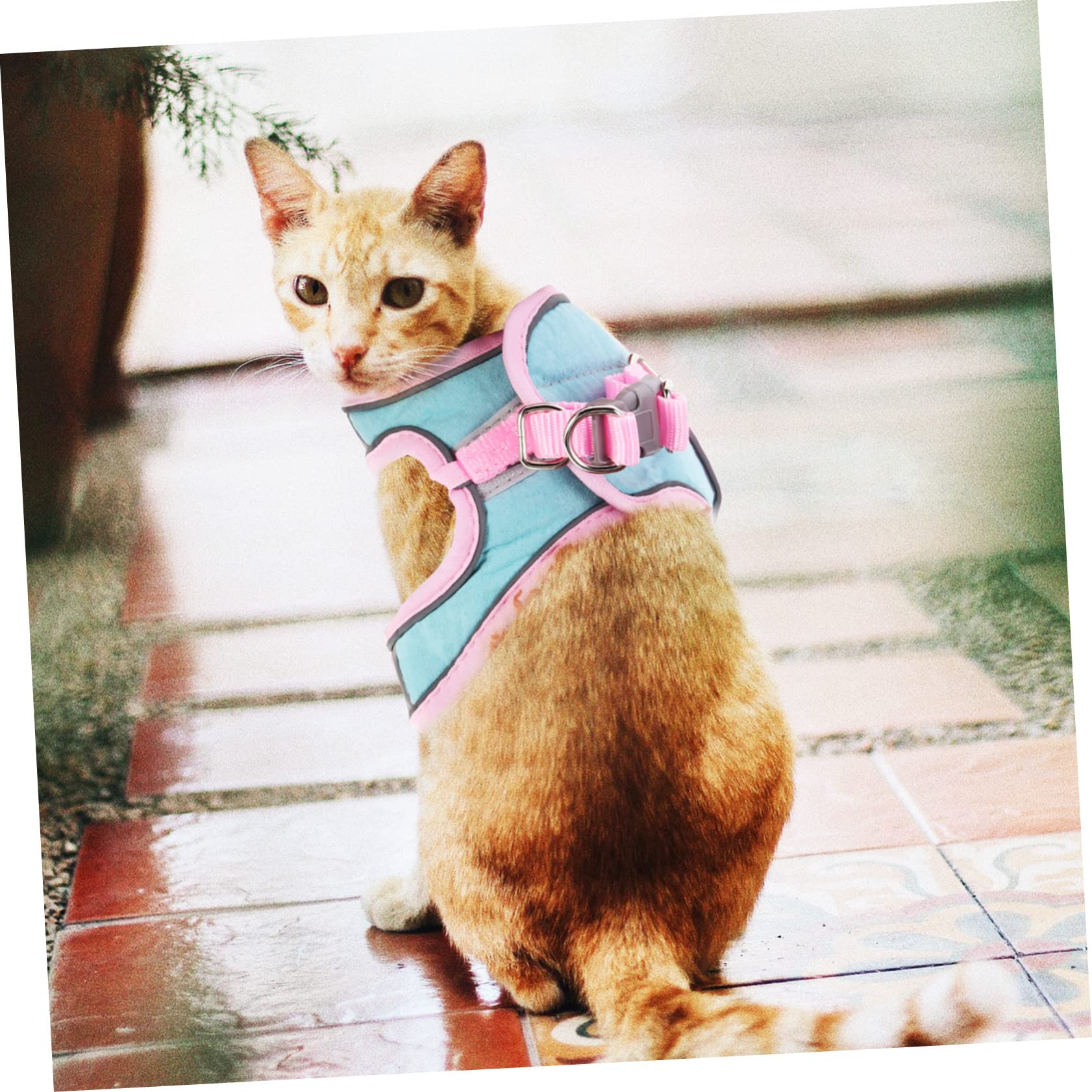 ibasenice 1 Set Reflective Cat Leash and Vest Pet Harness for Outdoor Walking Durable Lightweight Design for Easy Control for Nighttime Adventures with Your Cat
