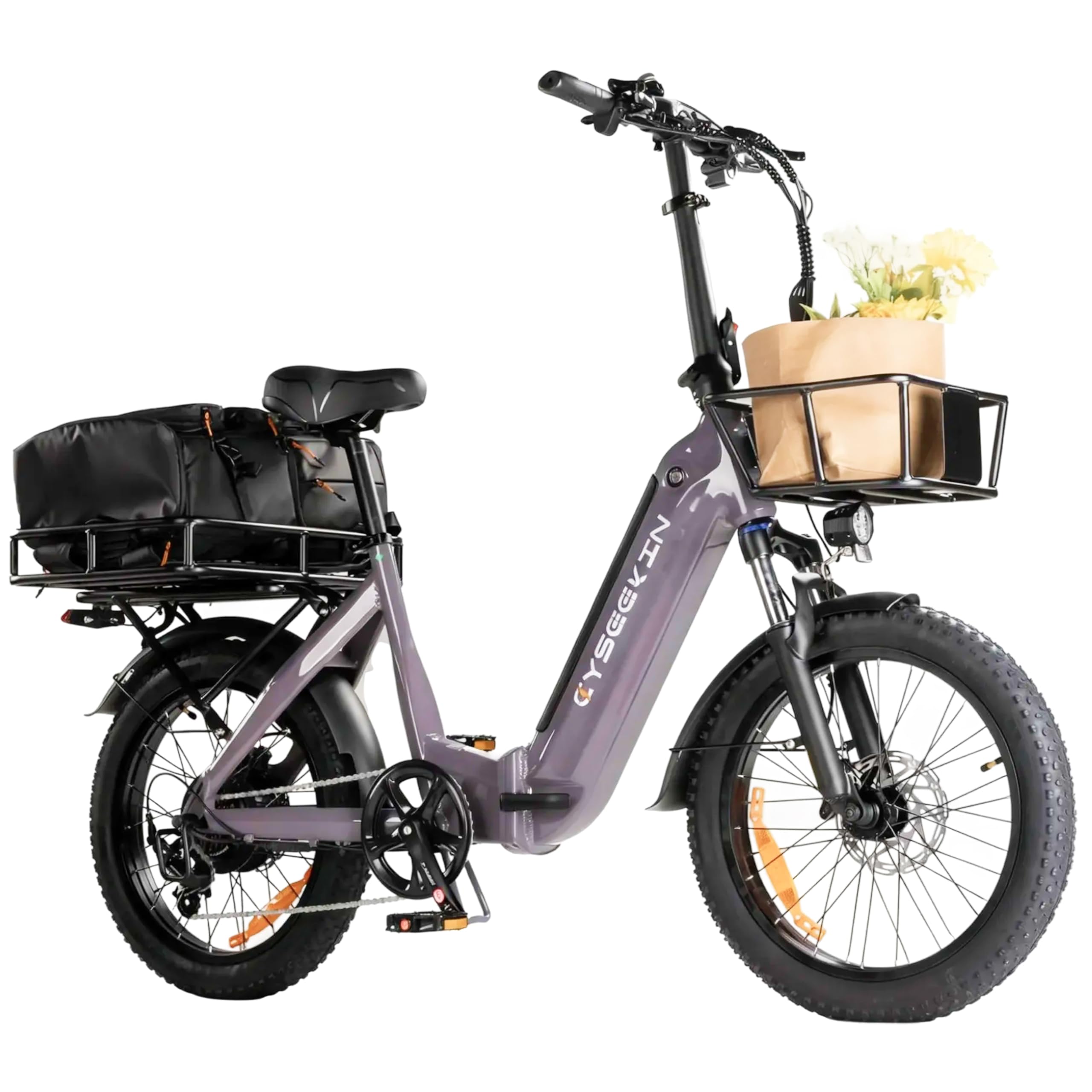Fahrradkorb Hinten - Stabiler Hinterträger Tragkraft bis zu 30 kg, für C20 Fahrrad E-Bike Elektrofahrrad