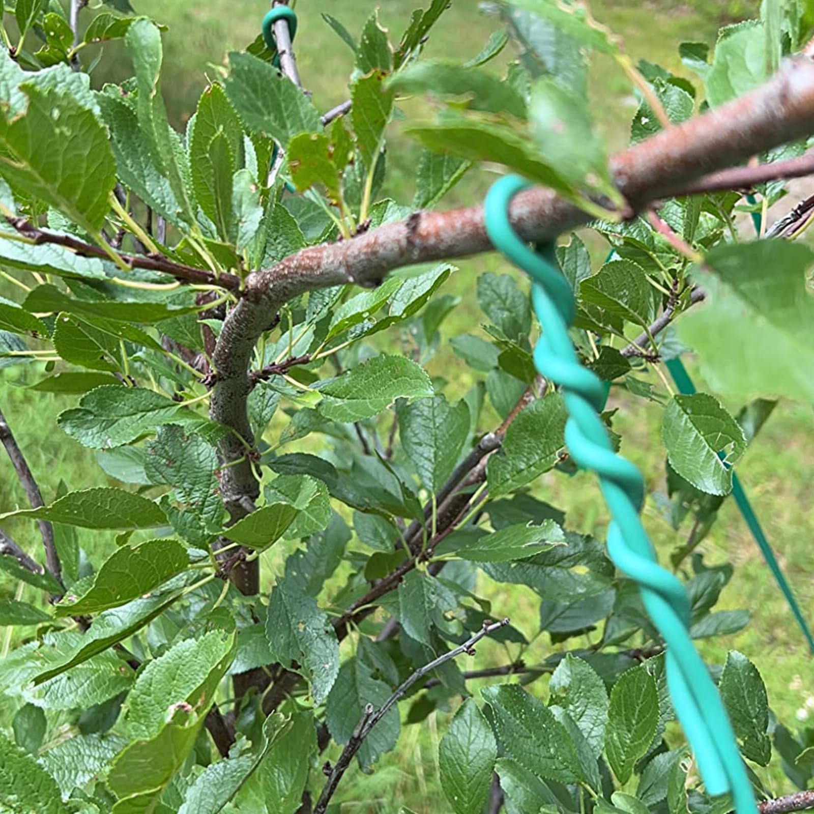2 rolki 3,5 mm x 20 m drut ogrodowy w os?onie, zielony drut ogrodowy, drut do wi?zania kwiatów, mi?kki drut wi???cy, do ogrodu, do ro?lin pn?cych, winoro?li