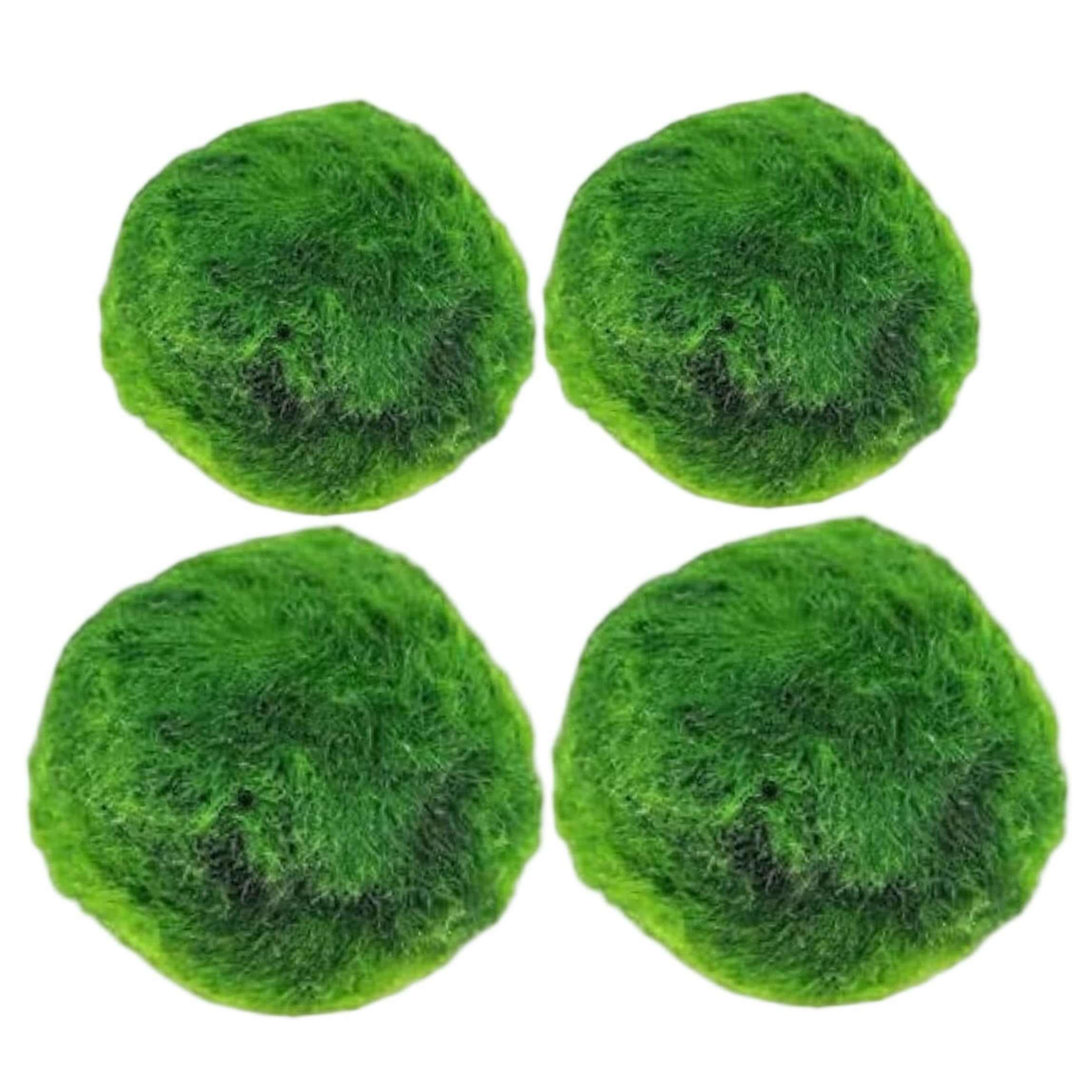 4 Palline di Muschio Marimo Vivo per Acquario, Piante acquatiche Verdi da 2, 7-3, 3 cm per acquari, Filtro per l'acqua Naturale e Decorazione