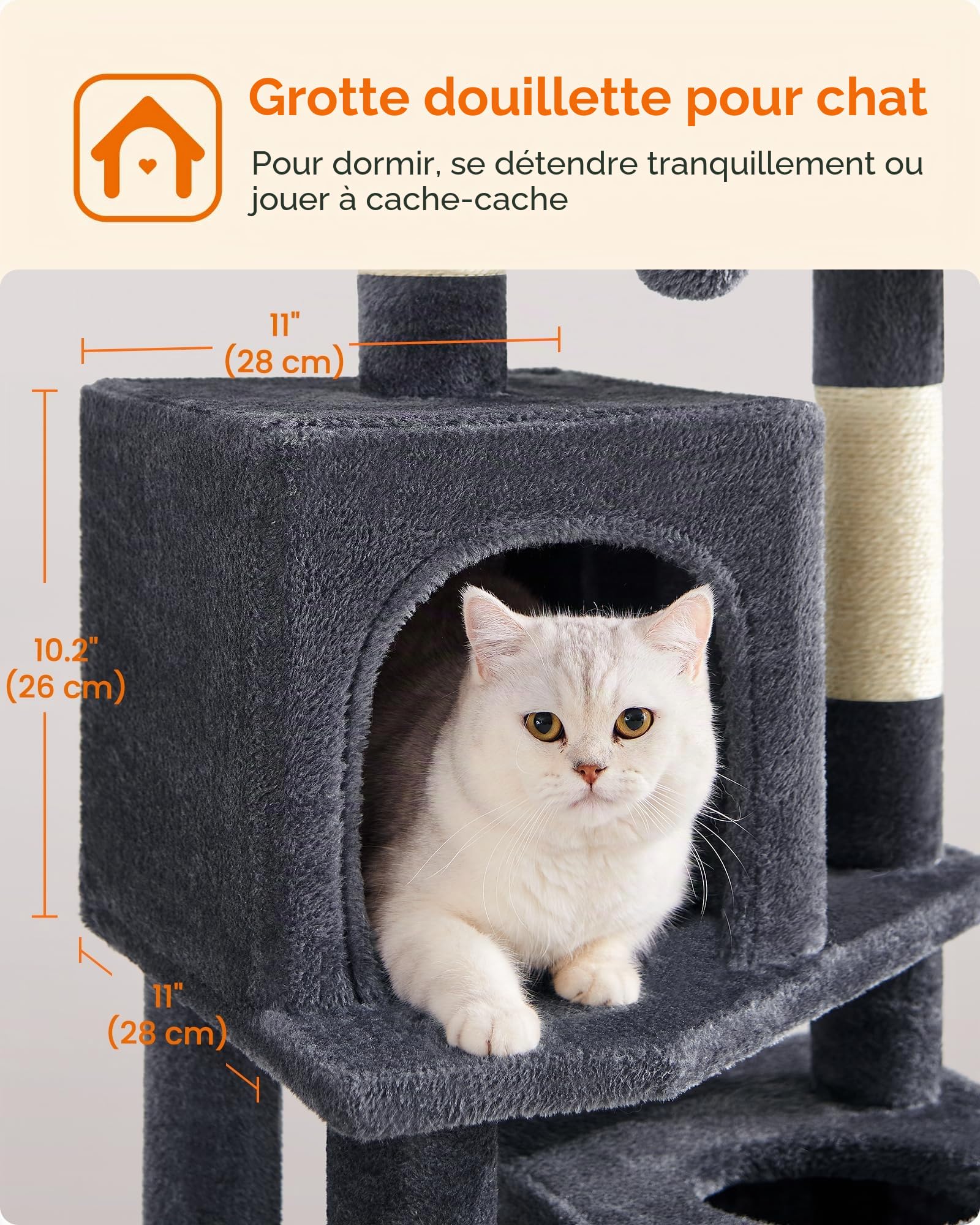 Vue 6