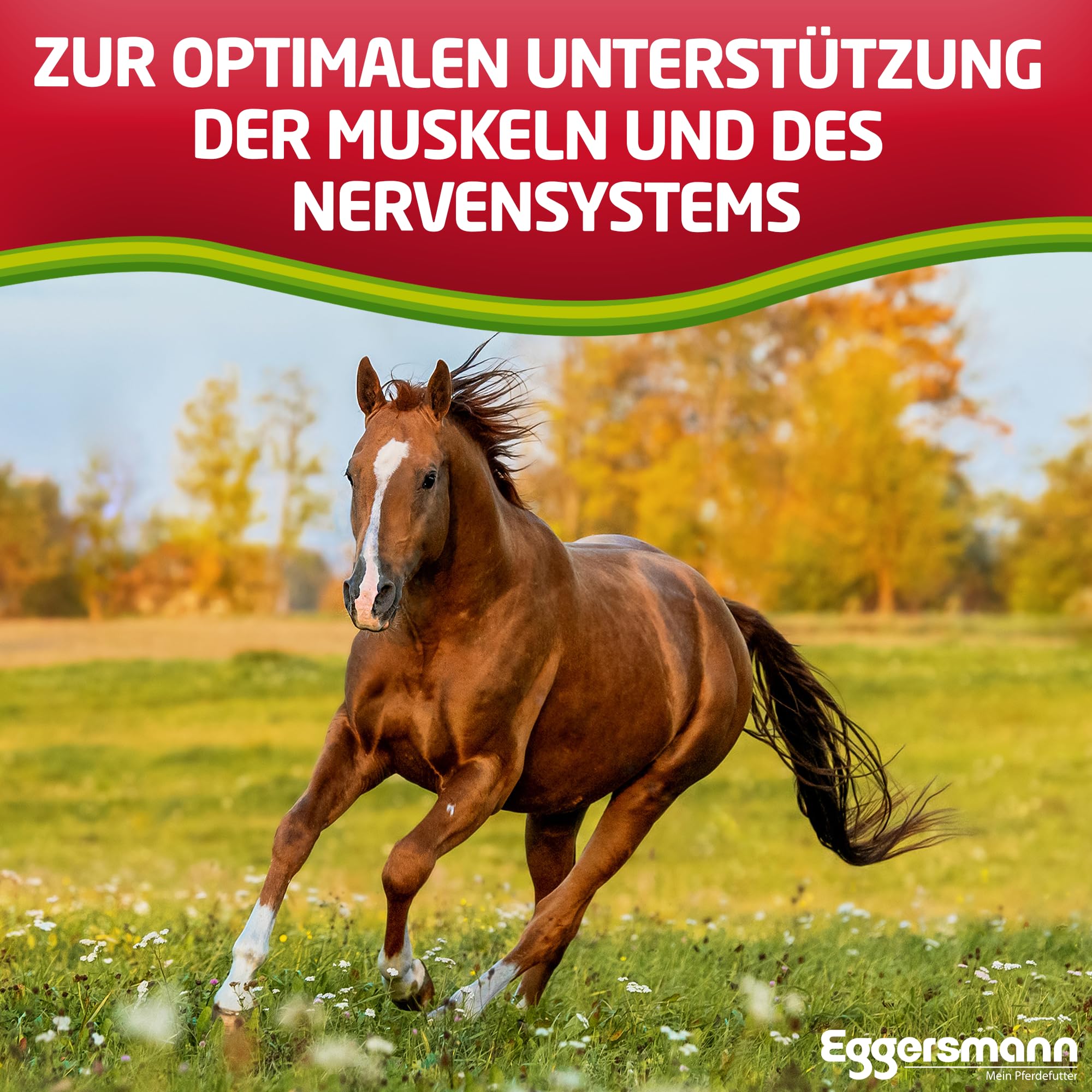 Eggersmann Profi Magnesium – pienso complementario para Caballos – para favorecer la Musculatura Suelta – Cubo de 4 kg