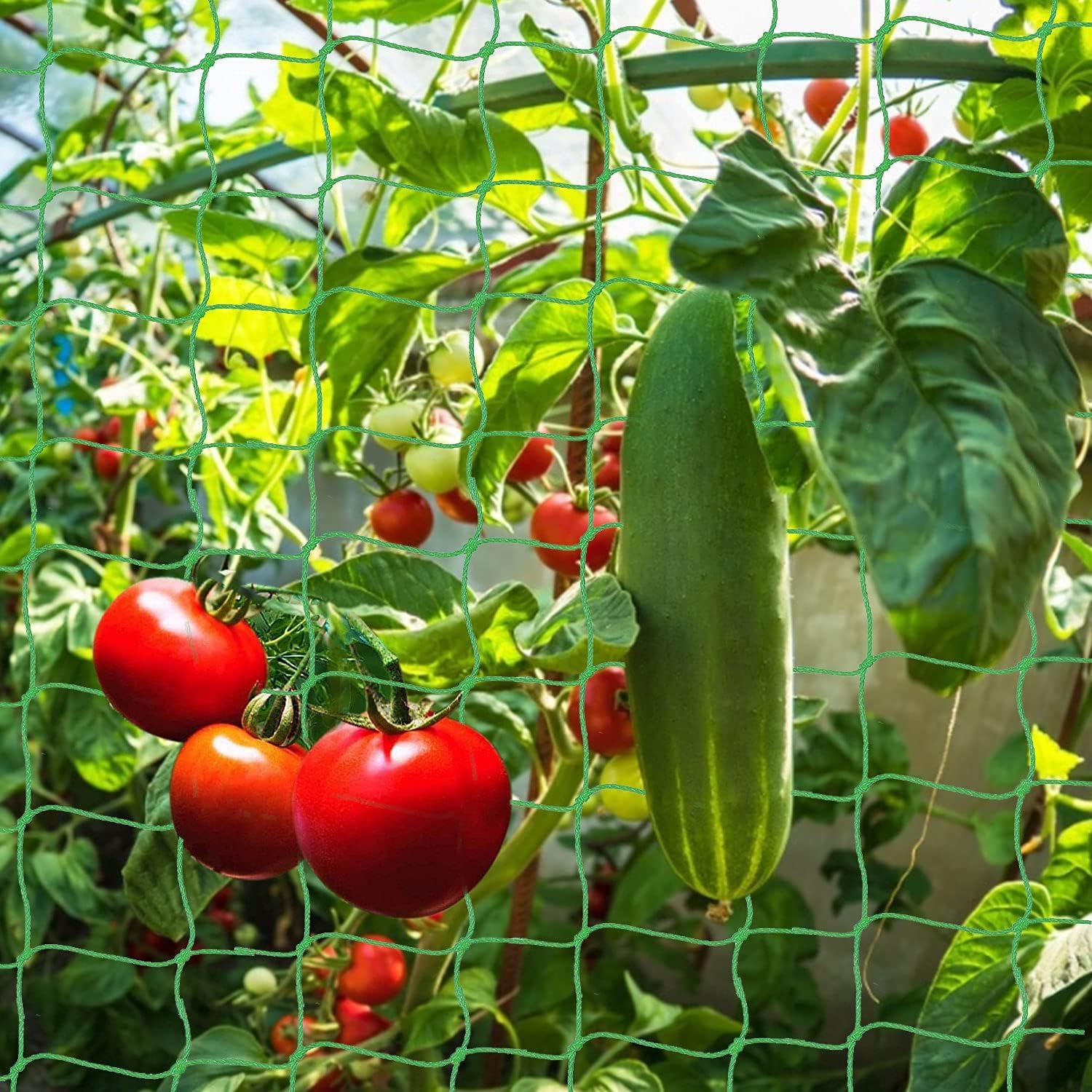 Red de Enrejado,2m x 5m Jardín Enrejado Red Plantas,Red para Plantas Trepadoras,Trellis Red de Jardín,Malla para Jardin Exterior,para Tomates,Hortalizas und Plantas Trepadoras