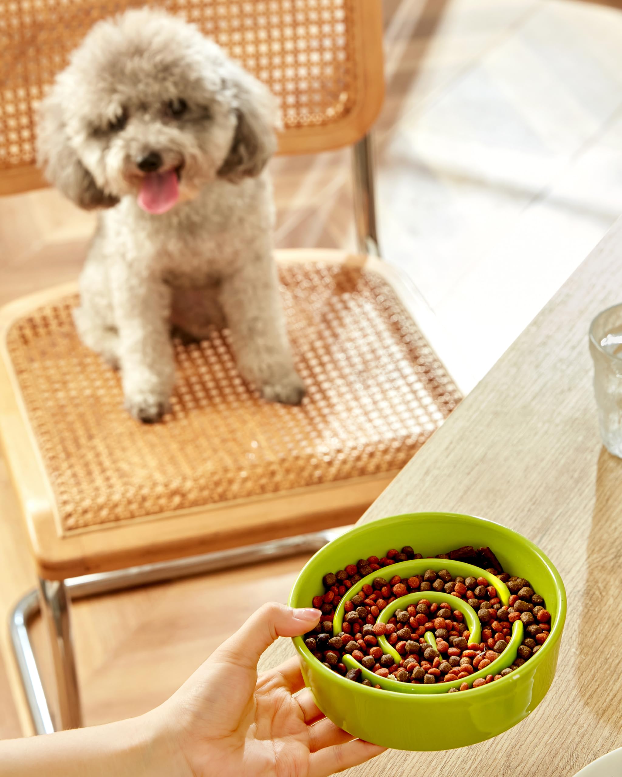 Ceramic Slow Feeder Dog Bowl for Small Breed Dog Slow Feeder Bowl for Fast Eaters Slow Feeder Cat Bowl, 14oz, Lime Green - Image 2