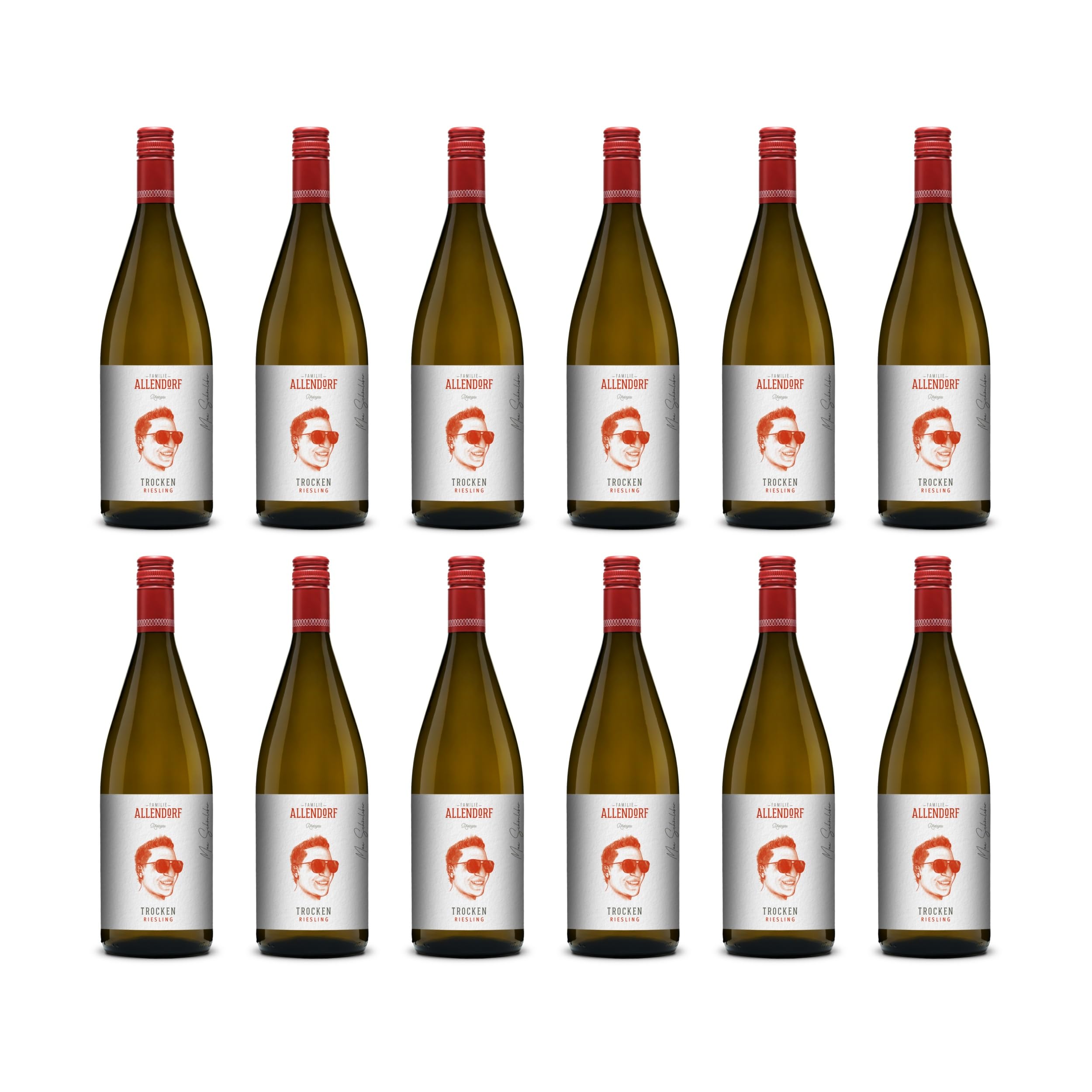 Familie Allendorf Riesling Trocken Weisswein Weiss Deutschland inkl. FeinWert E-Book (12 x 1 l)