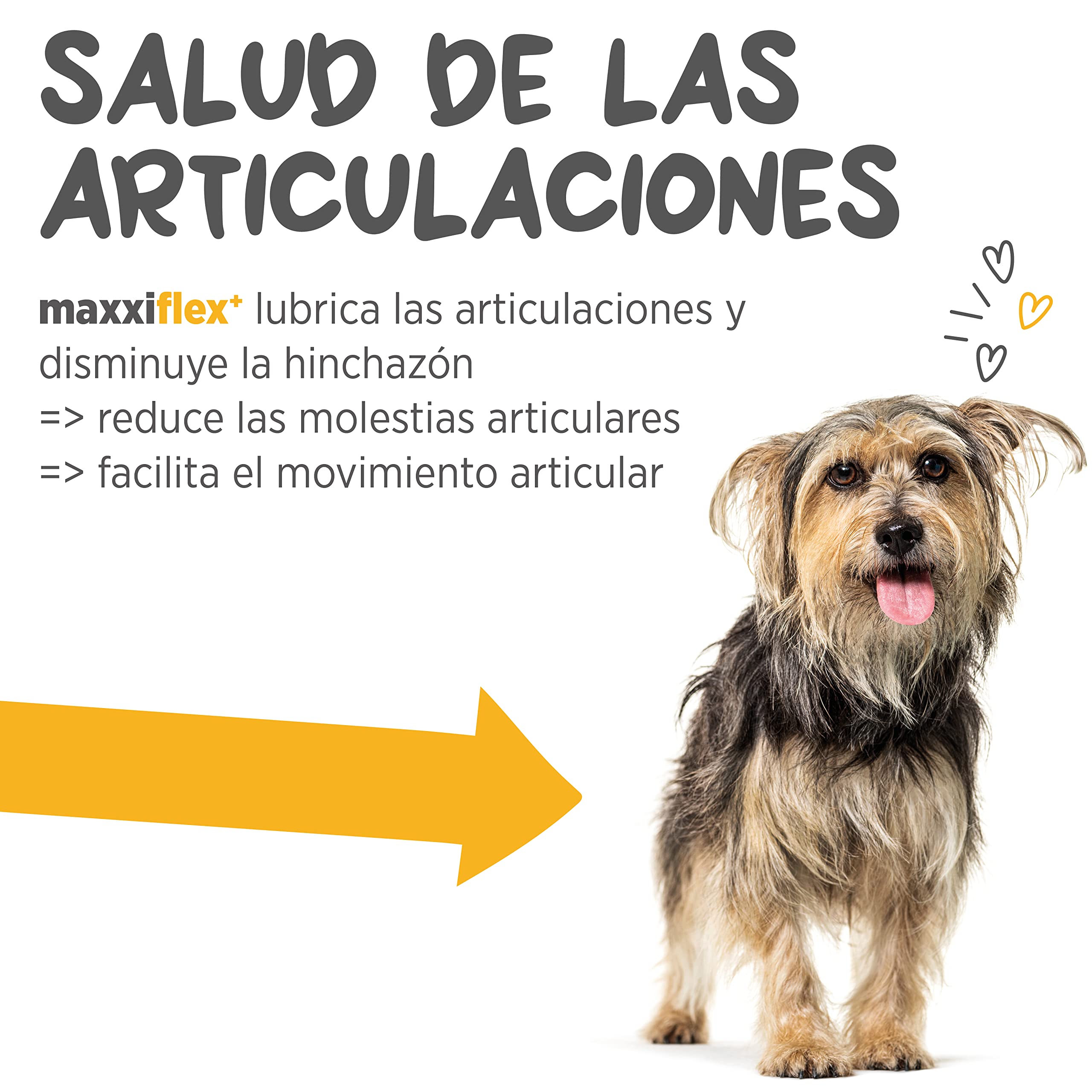 maxxipaws maxxiflex+ Caderas y Articulaciones - Suplemento Condroprotector para Perros Adultos - 120 Comprimidos