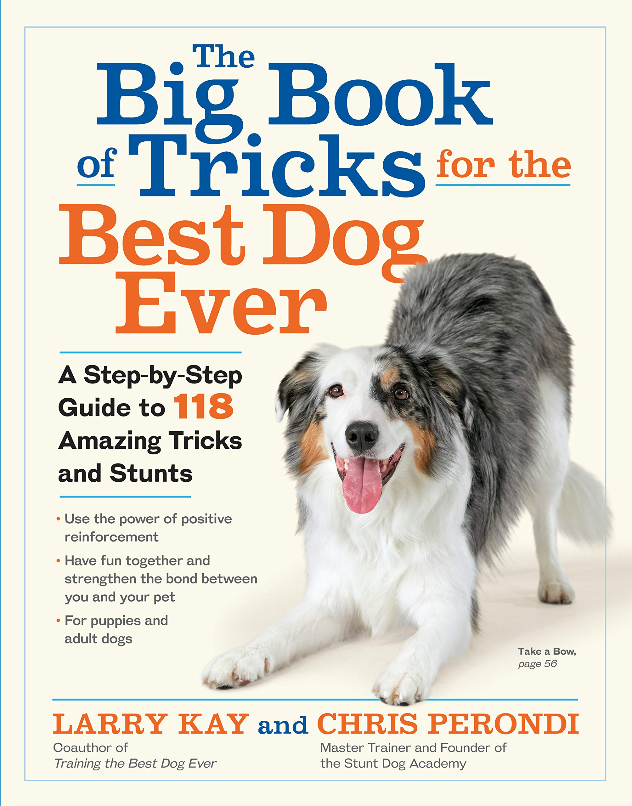 The Big Book of Tricks for the Best Dog Ever: A Step-By-Step Guide to 118 Amazing Tricks and Stunts