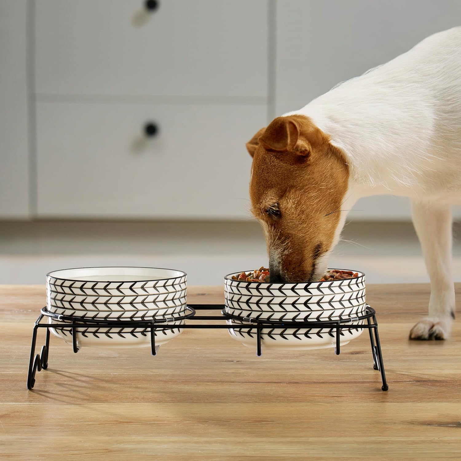 Signature Housewares Ceramic Pet Bowl Set - Food Water Bowls for Dogs and Puppies, Large Cats with Sturdy Metal Stand - Set of 2 6in. Bowls, 32 oz Each