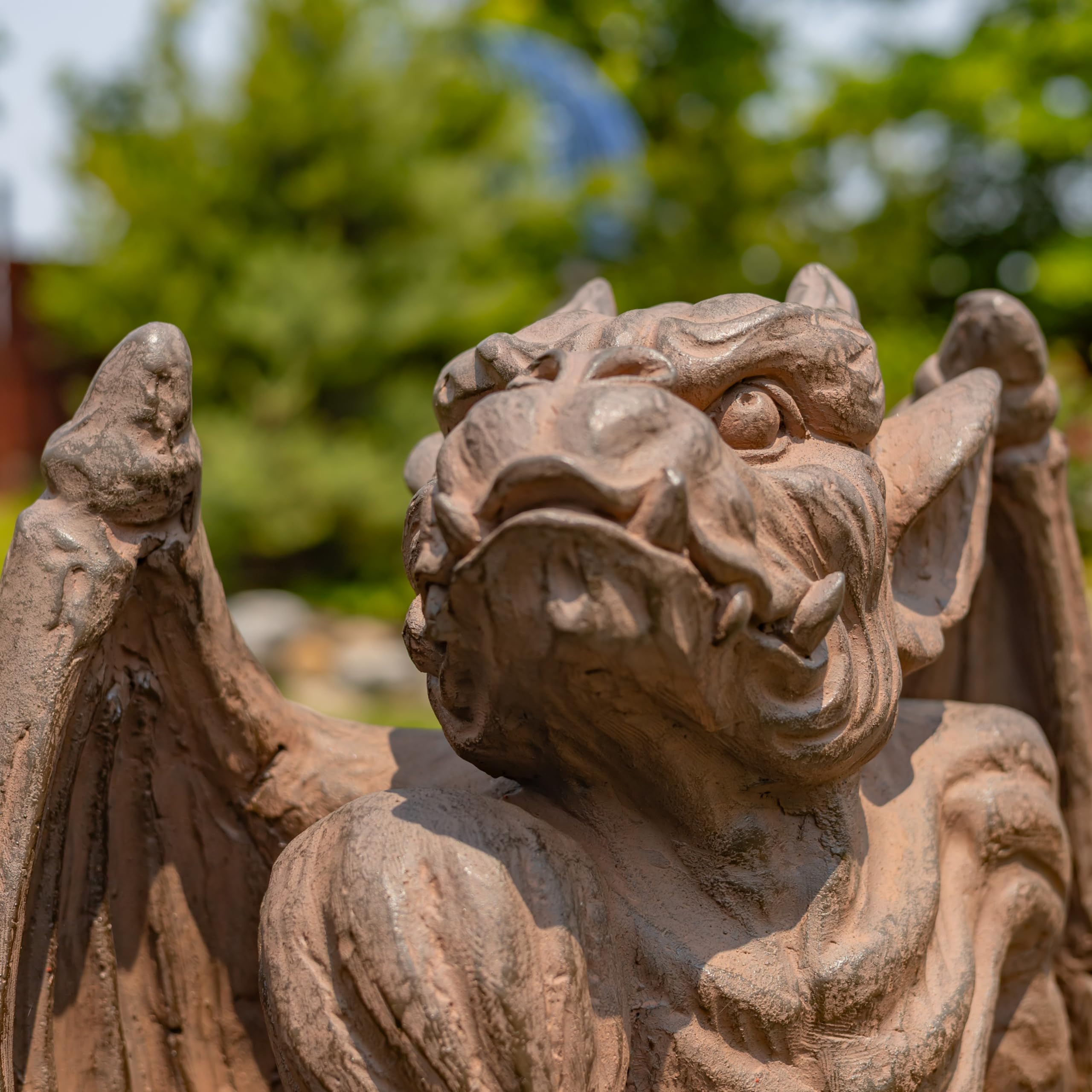Amazon.com : Zaer Ltd. Set of 2 Gothic Gargoyle Garden Statues