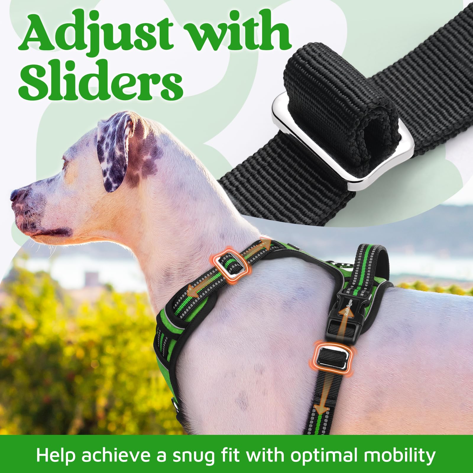 rabbitgoo Harnais pour chien de petite taille, anti-traction avec 3 boucles, harnais rembourré doux réglable avec poignée de contrôle facile et bandes réfléchissantes, vert, taille S