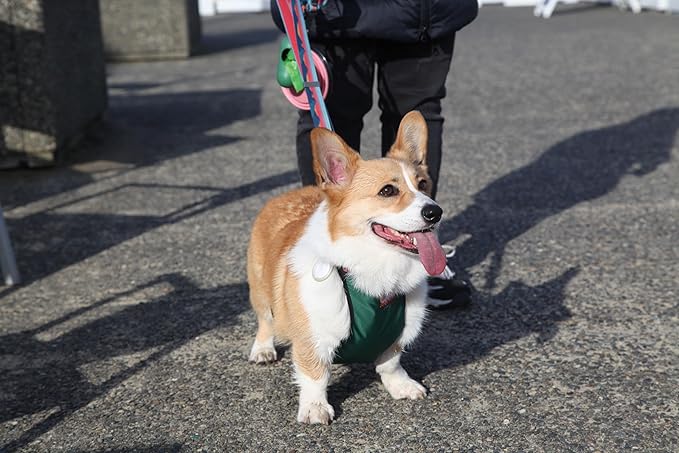 Protector de Barriga Impermeable para Perros Rainbow Preferred miniatura 5