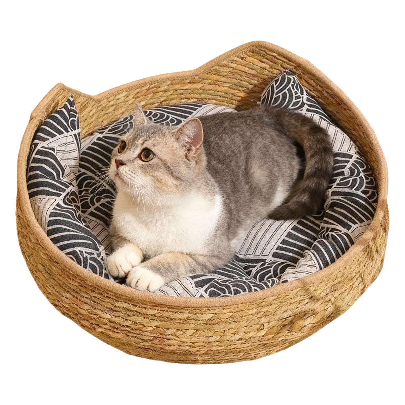 Rechory Cat Basket Bed - Woven Washable Pet Accessories with Cushion And Pillow | Cat Desk Bed - for Indoor Outdoor Travel Car Camping Desk Bedside Window Chair Couch Room Shelter