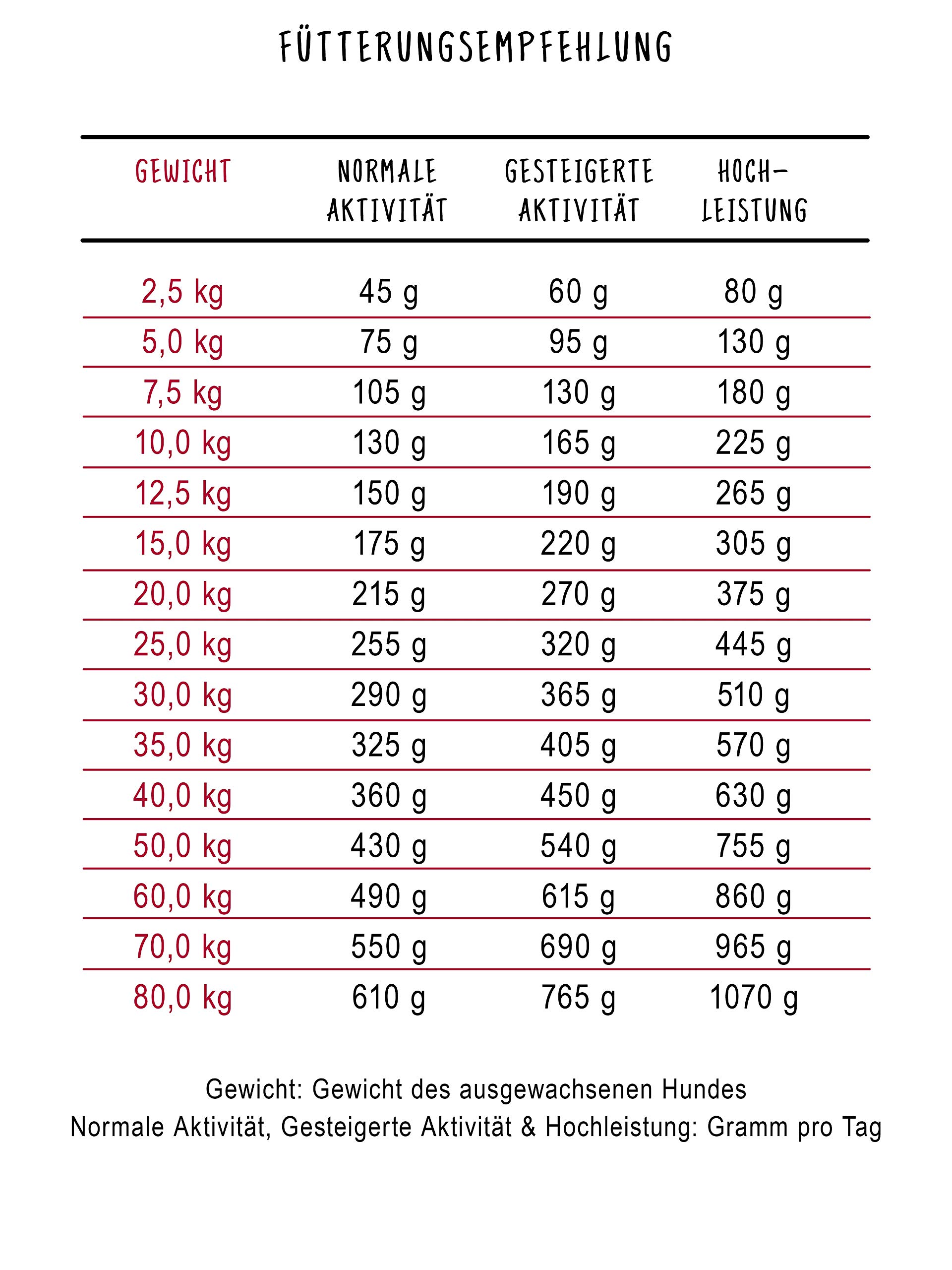bosch HPC Energy Extra sucha karma dla psów sportowych i wyczynowych wszystkich ras, 1 x 15 kg