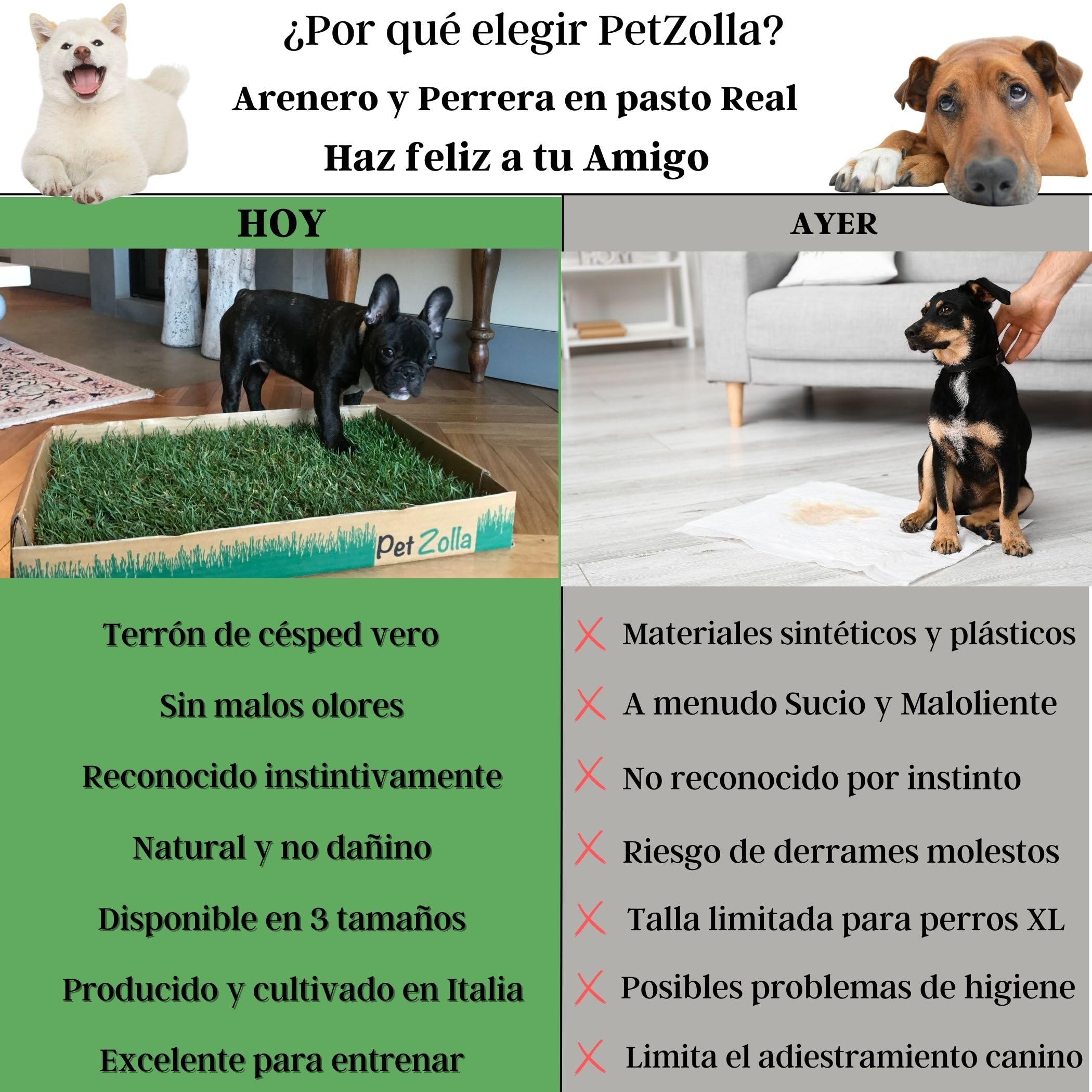 Petzolla – Cama para animales ecológica de césped real