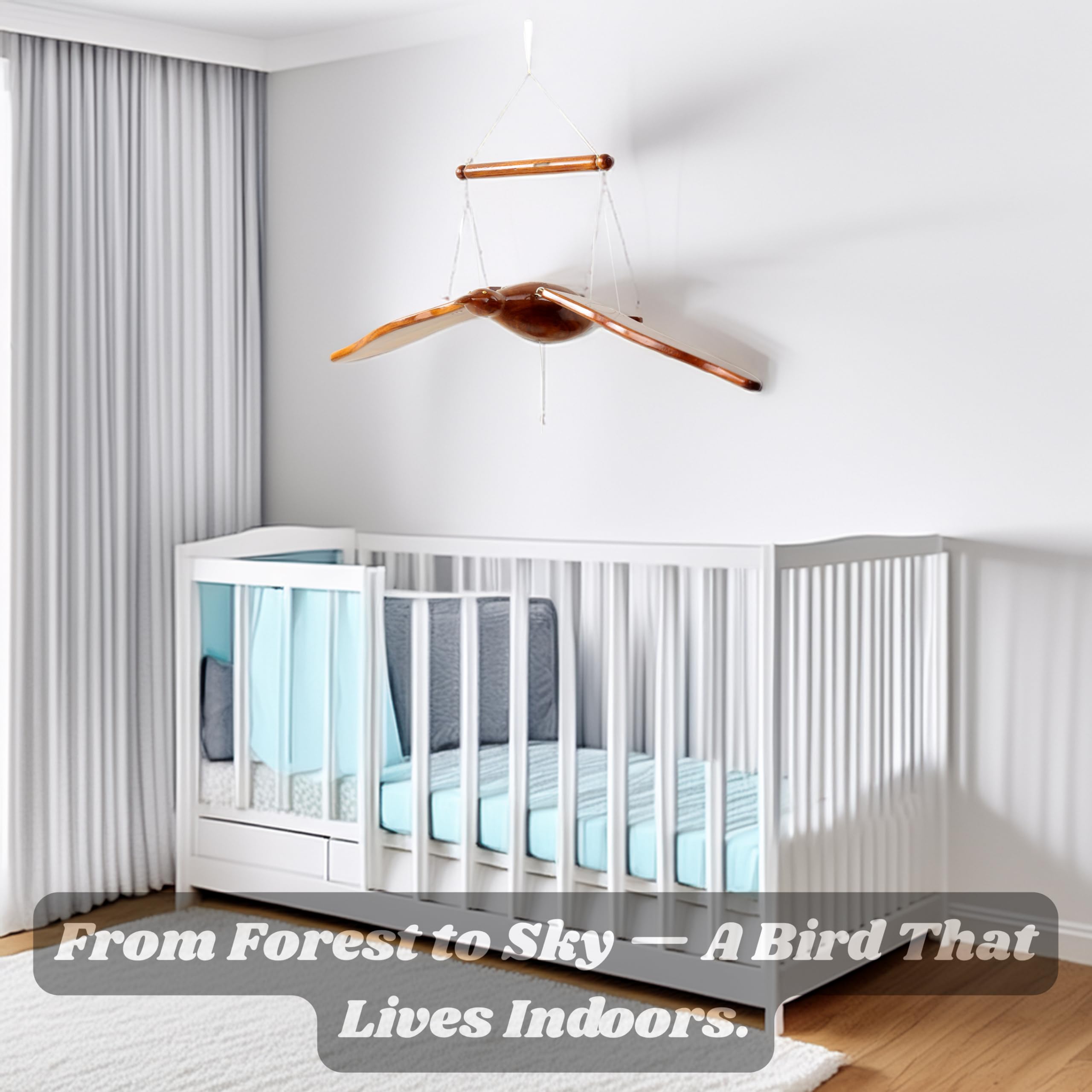 Amazon.co.jp: 職人手作り木製飛ぶ鳥3D(3次元)モデル翼付き|独占ホーム