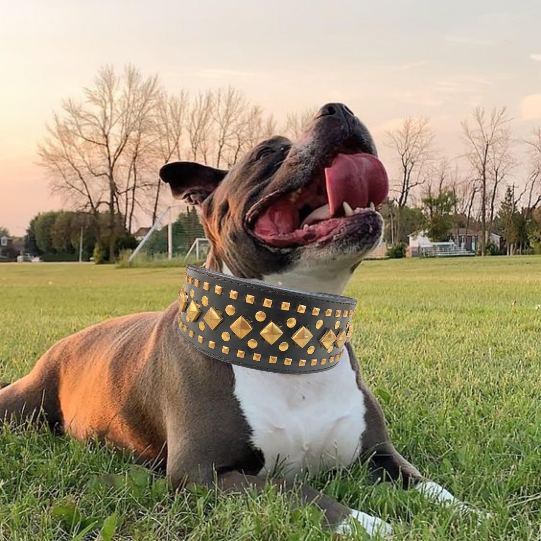 PSK PET MART Studded Dog Collar, Big Sharp Dog Collars, Geniune Leather, Neck Protection from Bite, Adjustable, Fit Pitbull Doberman German Shepherd, for Medium Large Dogs (B0CT8651Q9) Amazon Price History, Amazon Price Tracker