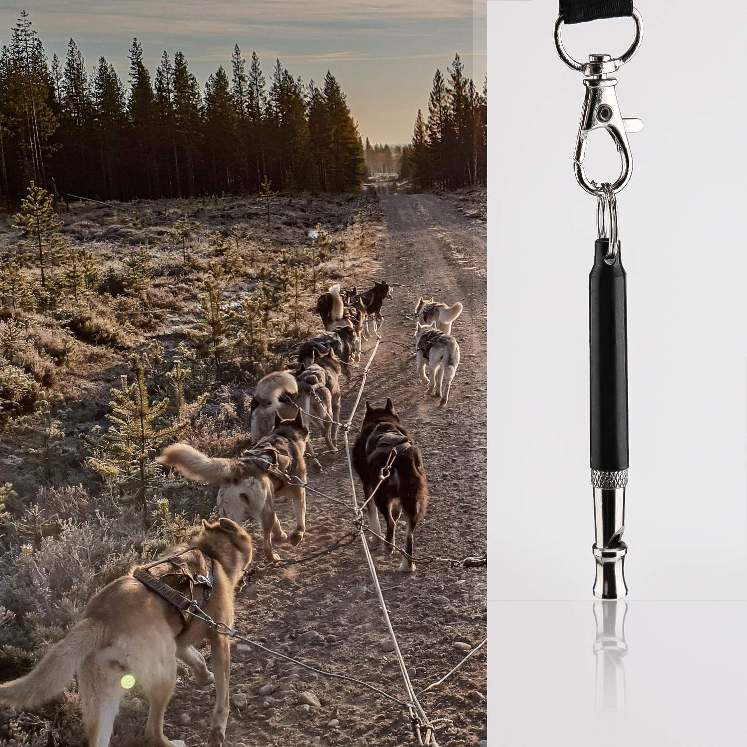 2x Ultraschall Hundepfeife Lautlos – Hochfrequenz Für Hundetraining, Mit Umhängeband, Gegen Bellen & Für Rückruf
