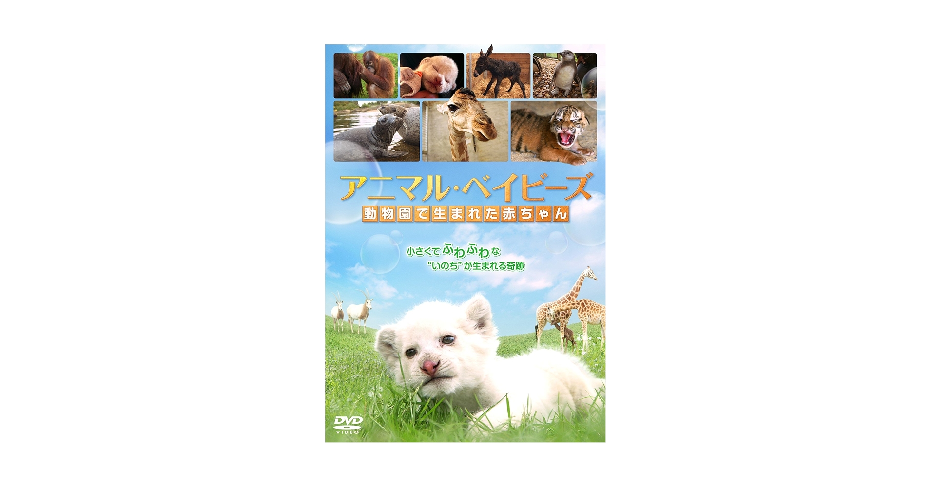 ベイビーズ いのちのちから DVD Amazon.co.jp: ベイビーズ -いのちのちから- [DVD] : トマス