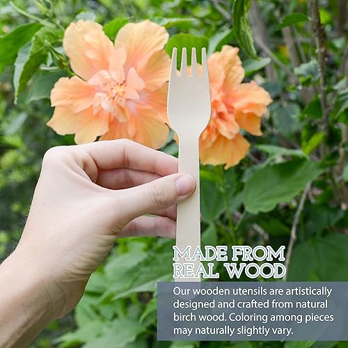 Miniatura 2 de Galashield Tenedores de madera desechables  100 piezas  6.3 pulgadas de longitud Eco Friendly Biodegradable Compostable Juego de cubiertos de madera