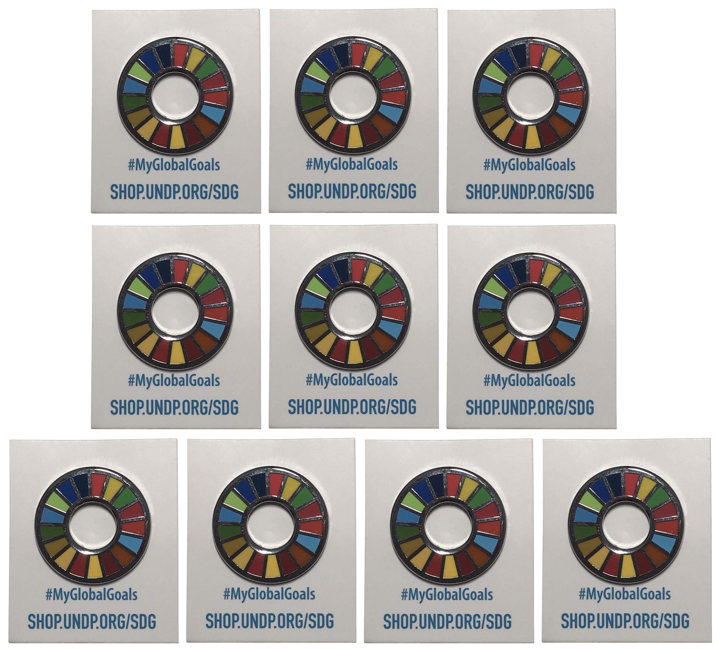 国連本部入手品】SDGs ピンバッジ 10点 2020購入 【訳あり商品