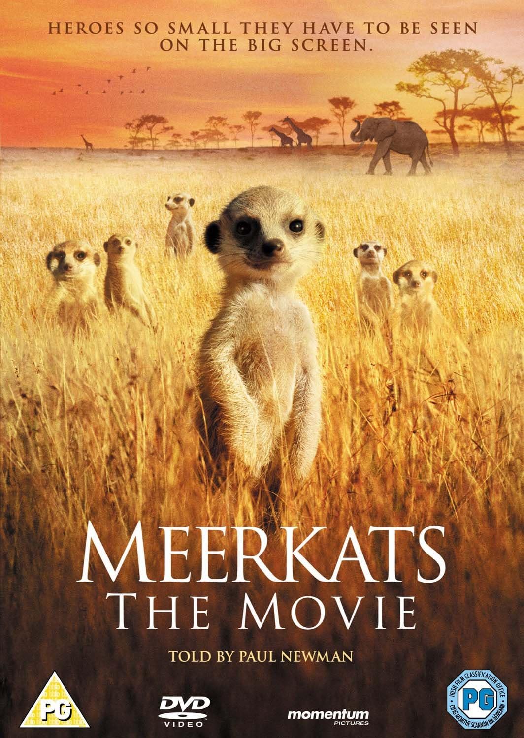 Meerkats - The Movie