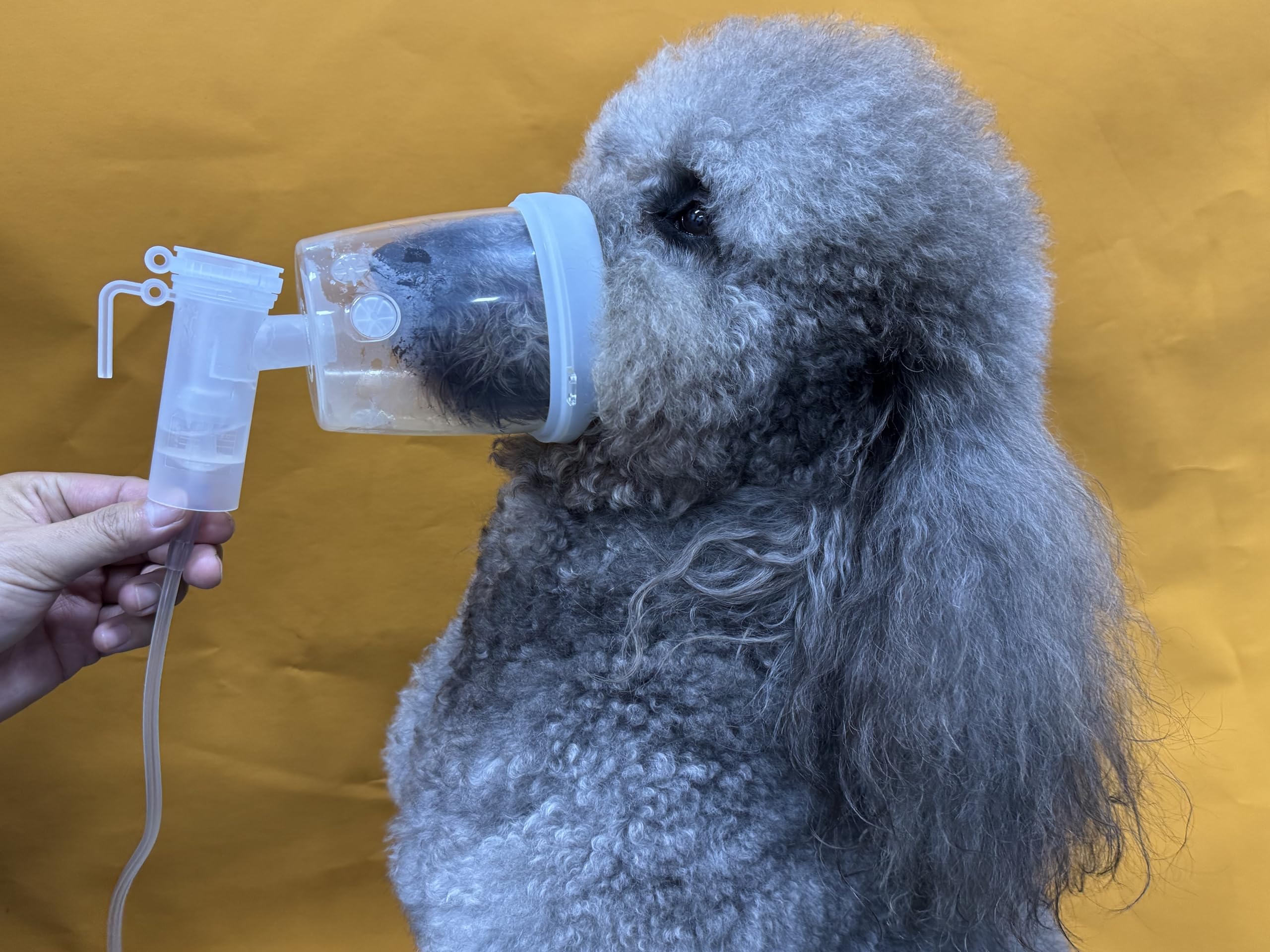 Hundevernebler und Inhalationsmaske, Sauerstoffmaske für große Hunde, Weiß (L)