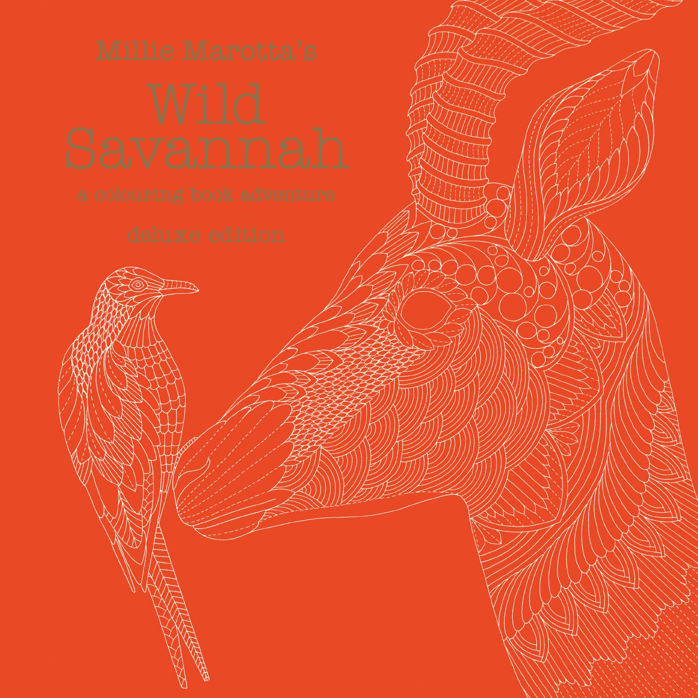 Millie Marotta's Wild Savannah Deluxe Edition: a colouring book adventure: 15