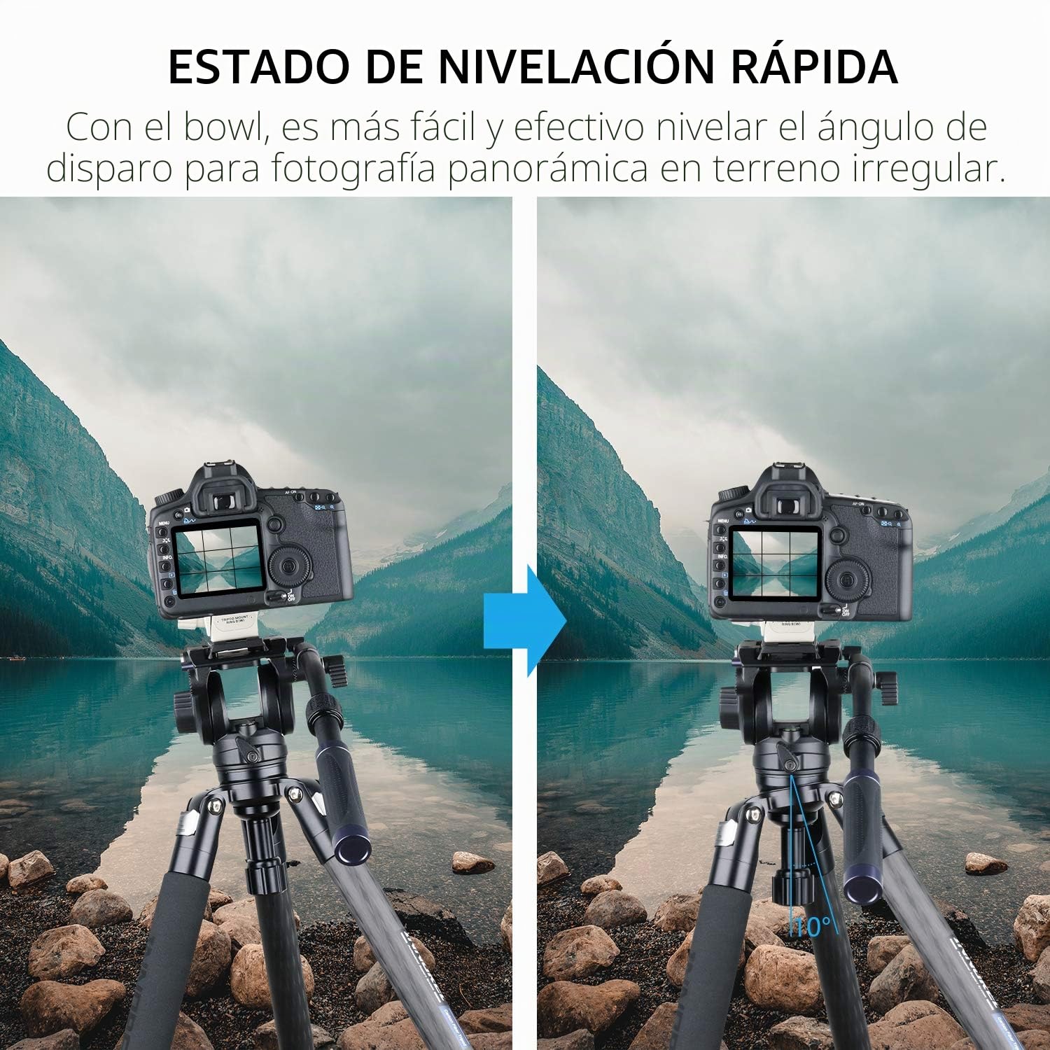 INNOREL Trípode de Fibra de Carbono Altura máxima 160cm Carga máxima 30kg diámetro máximo del Tubo 32 mm Soporte Profesional con Adaptador de Cuenco de 58 mm (ST324CT) Twist Lock