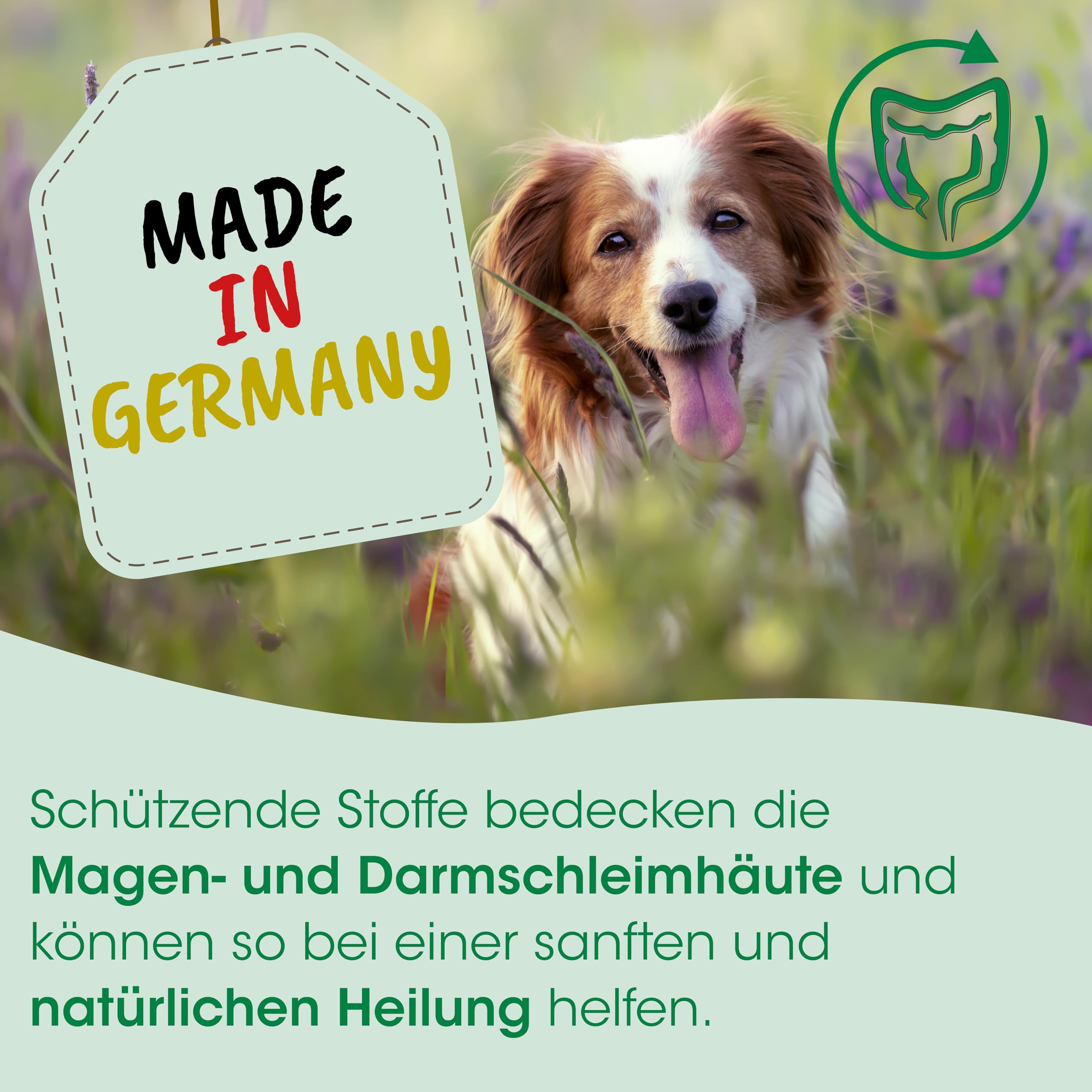cdVet Magenschutz 400g - Pulver zur Förderung der Gesundheit von Magen und Darm für Hunde und Katzen