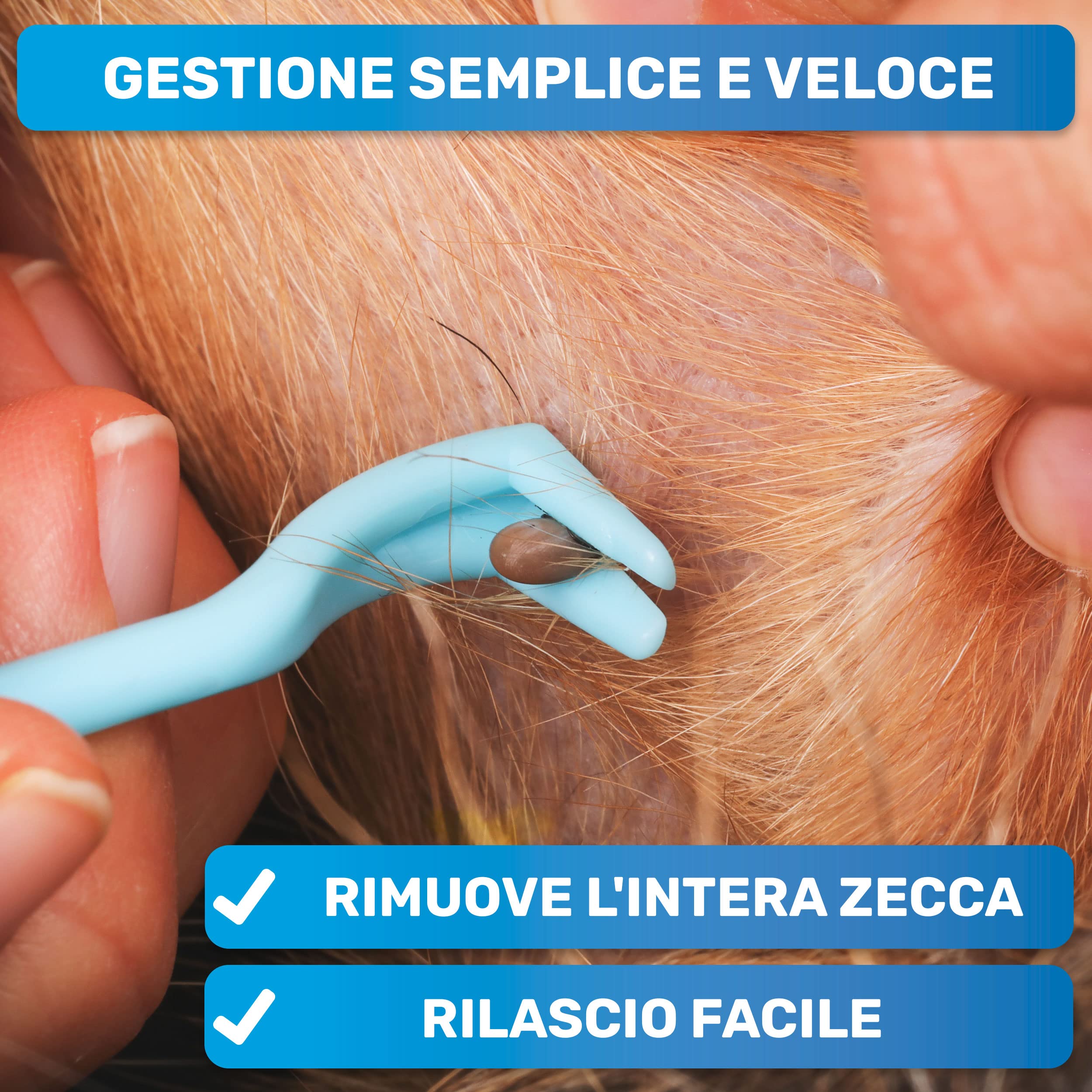BluePet 3X Ganci per Zecche per Cani, Gatti, Cavalli e Umani - Rimuovi Zecche, Pinza per Zecche per Cane, Gatto, Uomo, Alternativa alle Pinzette per Zecche, Togliere Zecche e Tira Zecche