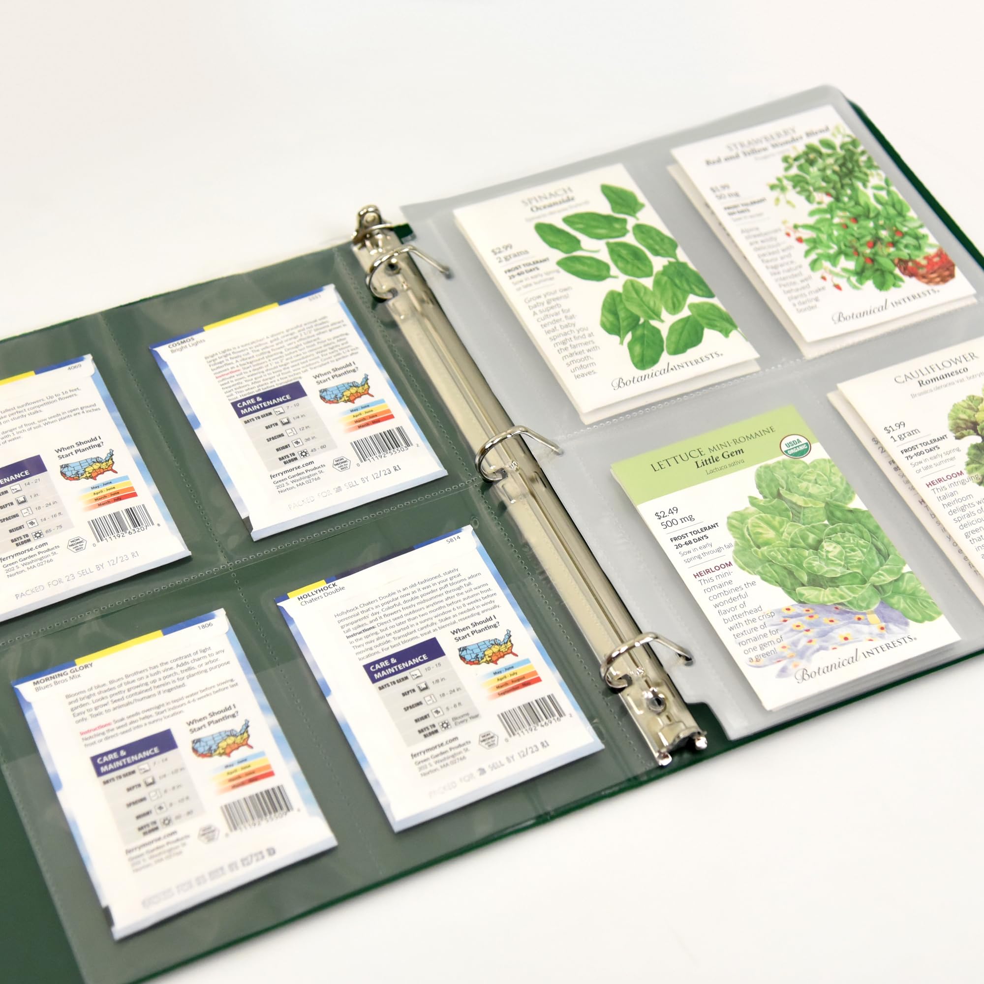 Samsill 50 sztuk 4 kieszonkowych przezroczystych ochraniaczy na kartki, karty indeksowe, kupony i nasiona ogrodowe – każda kieszeń mierzy 8,9 cm x 13,3 cm, pasuje do standardowego segregatora 3