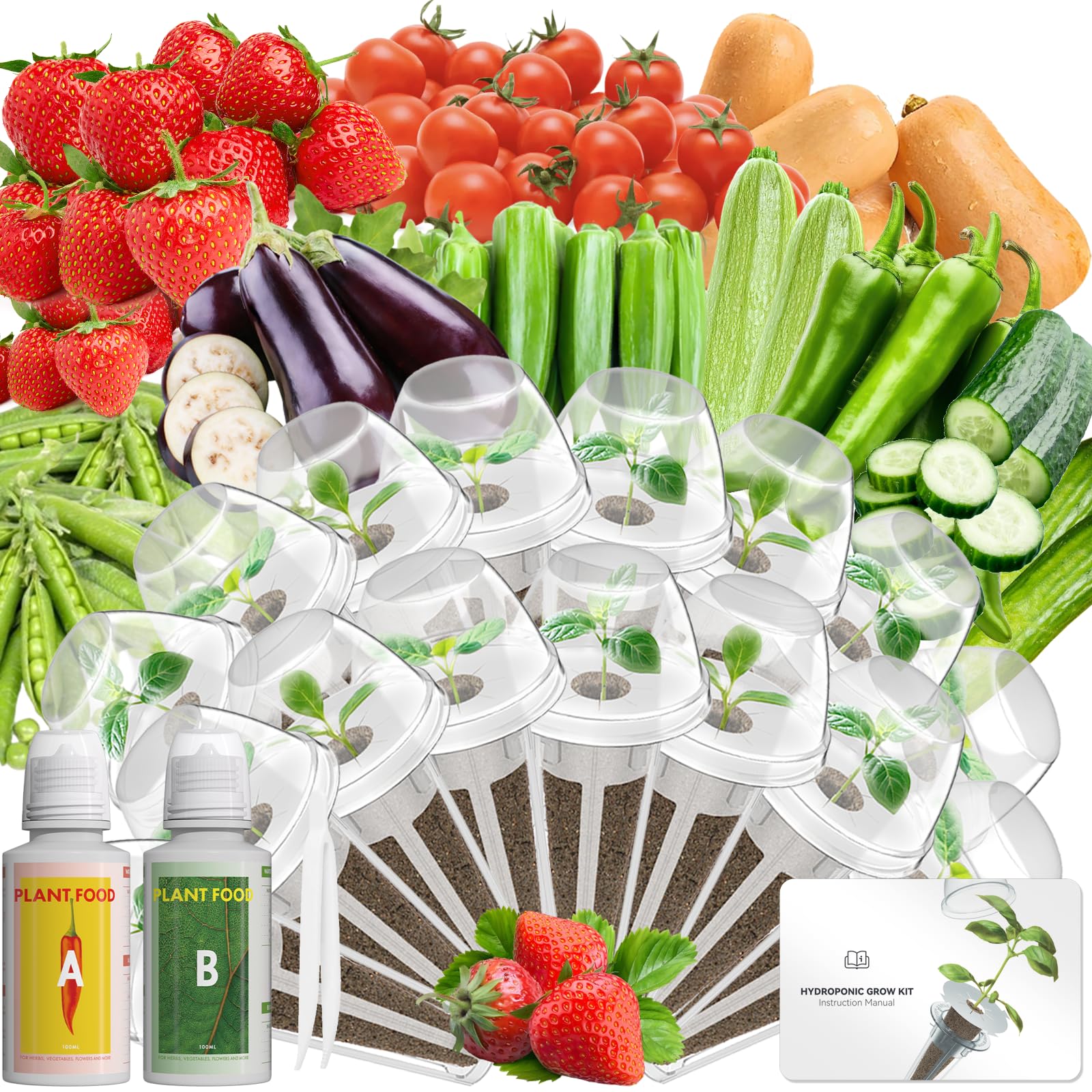 Kit de capsules de graines de légumes compatible avec le système de culture hydroponique AeroGarden