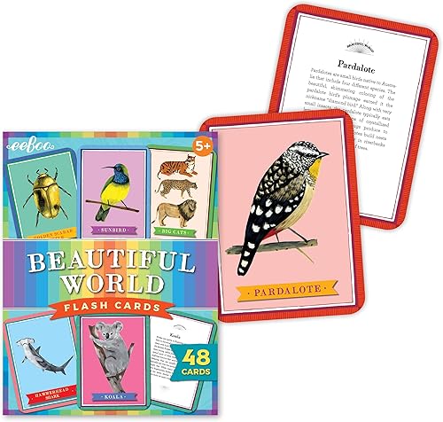 Miniatura 2 de eeBoo: Beautiful World - Tarjetas didácticas educativas, coloridos gráficos de animales y el reverso proporcionan información, manera perfecta de