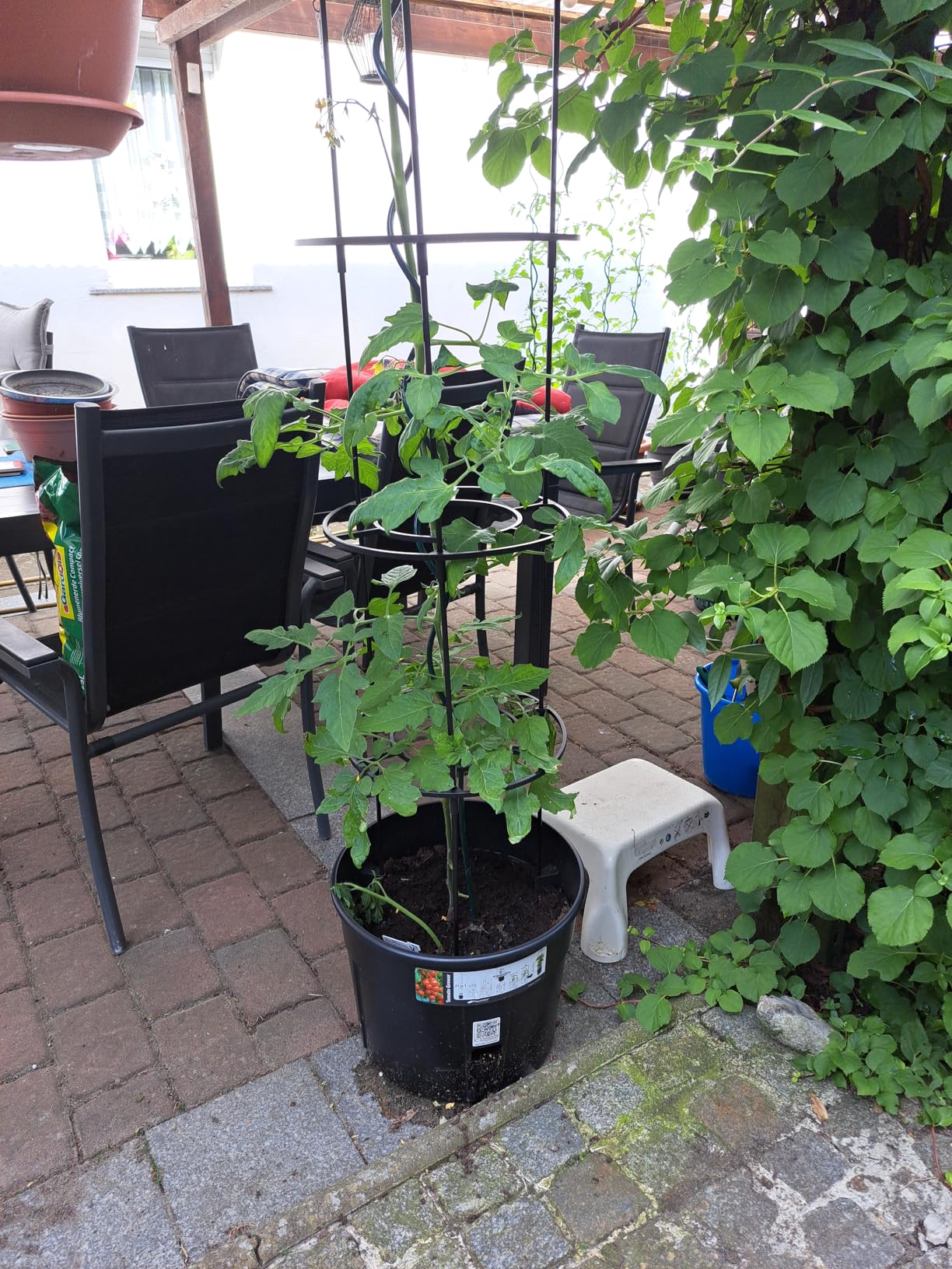 KOTARBAU® Tomatenturm 110 cm Tomatentopf Rankhilfe für Tomaten Gurken ... KOTARBAU® Tomatenturm 110 cm Tomatentopf Rankhilfe für Tomaten Gurken ...
