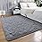 AROGAN Luxury Soft Area Rugs for Bedroom Living Room Plush Shag Rug 4x6 Feet, Grey Fluffy Rug for Kids Girls Playroom Dorm, Shag Shag Fuzzy Carpets Plush Rug for Teen Boys Nursery