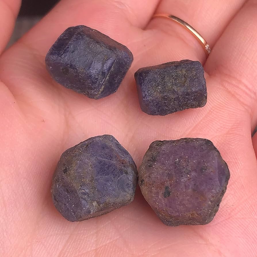 81sy7EIctyL._AC_UF894,