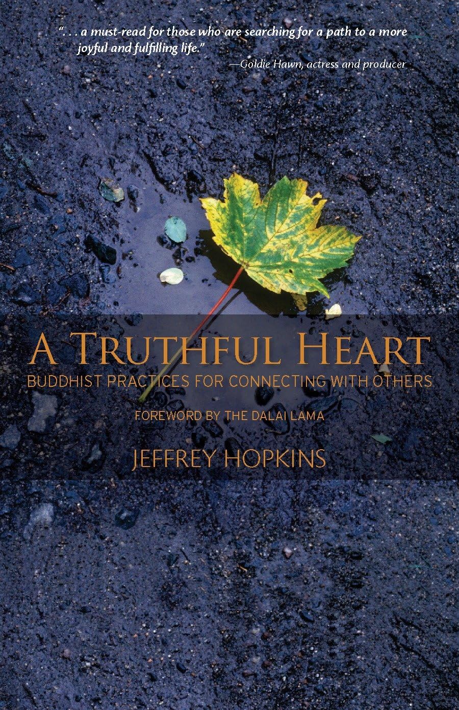 A Truthful Heart: Buddhist Practices For Connecting With Others-