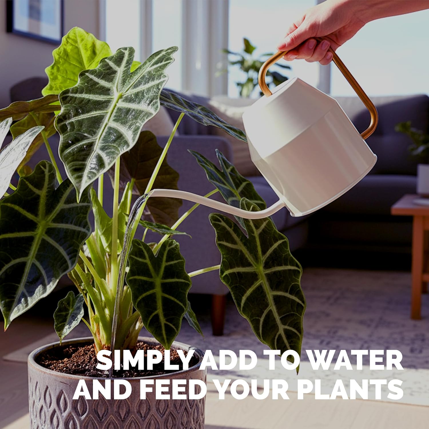 Alocasia Fertilizer – Liquid Plant Food for Bigger Leaves, Stronger Roots & Healthy Tropical Growth, 32 oz