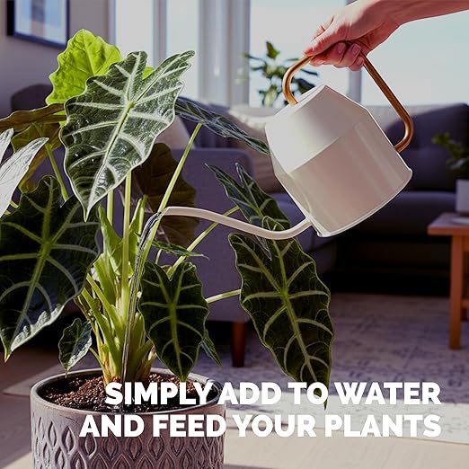 Fertilizante líquido para Alocasia 8 oz miniatura 5