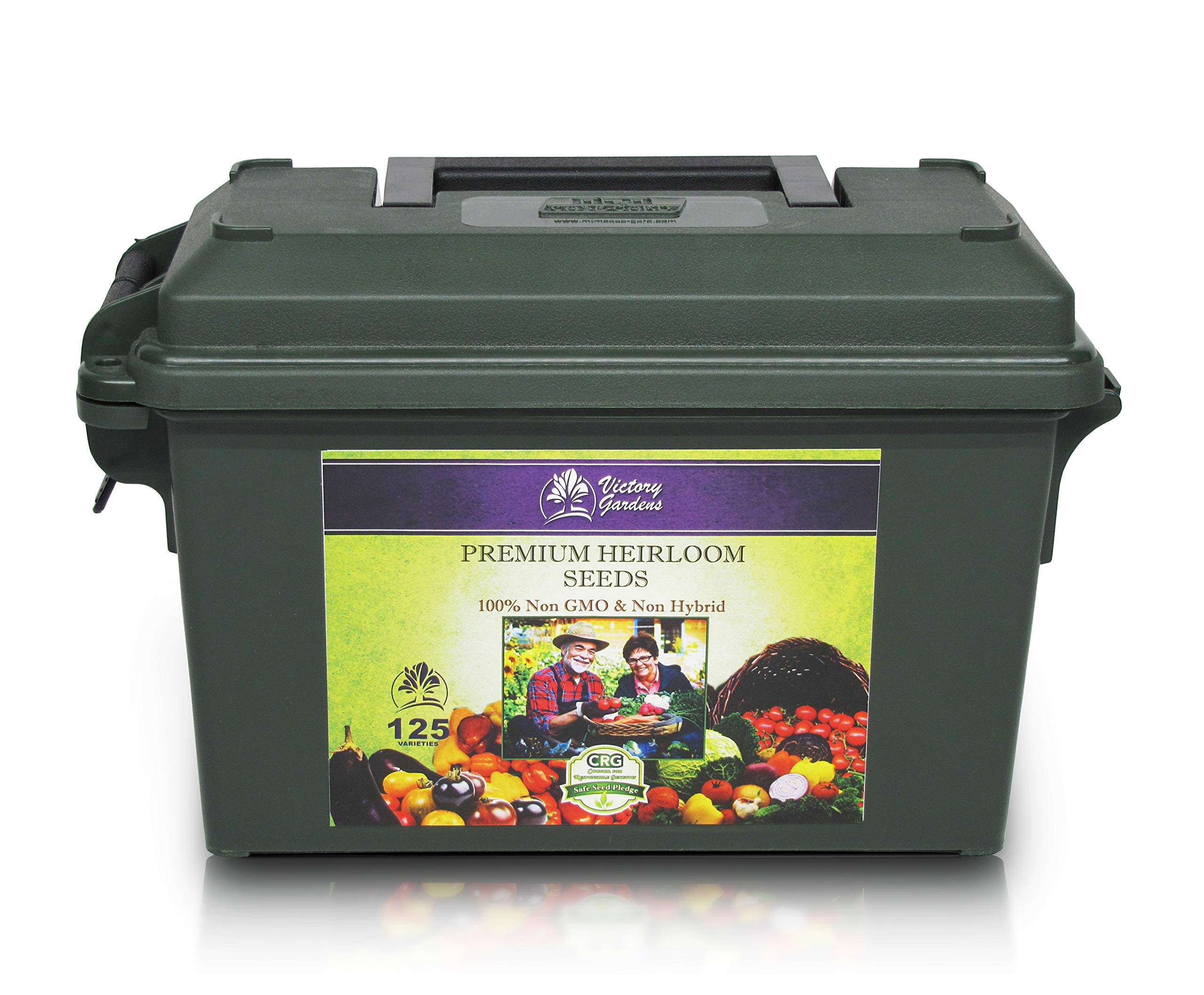 Buy Garden Seeds Vegetable Variety Pack for Planting Grow 125