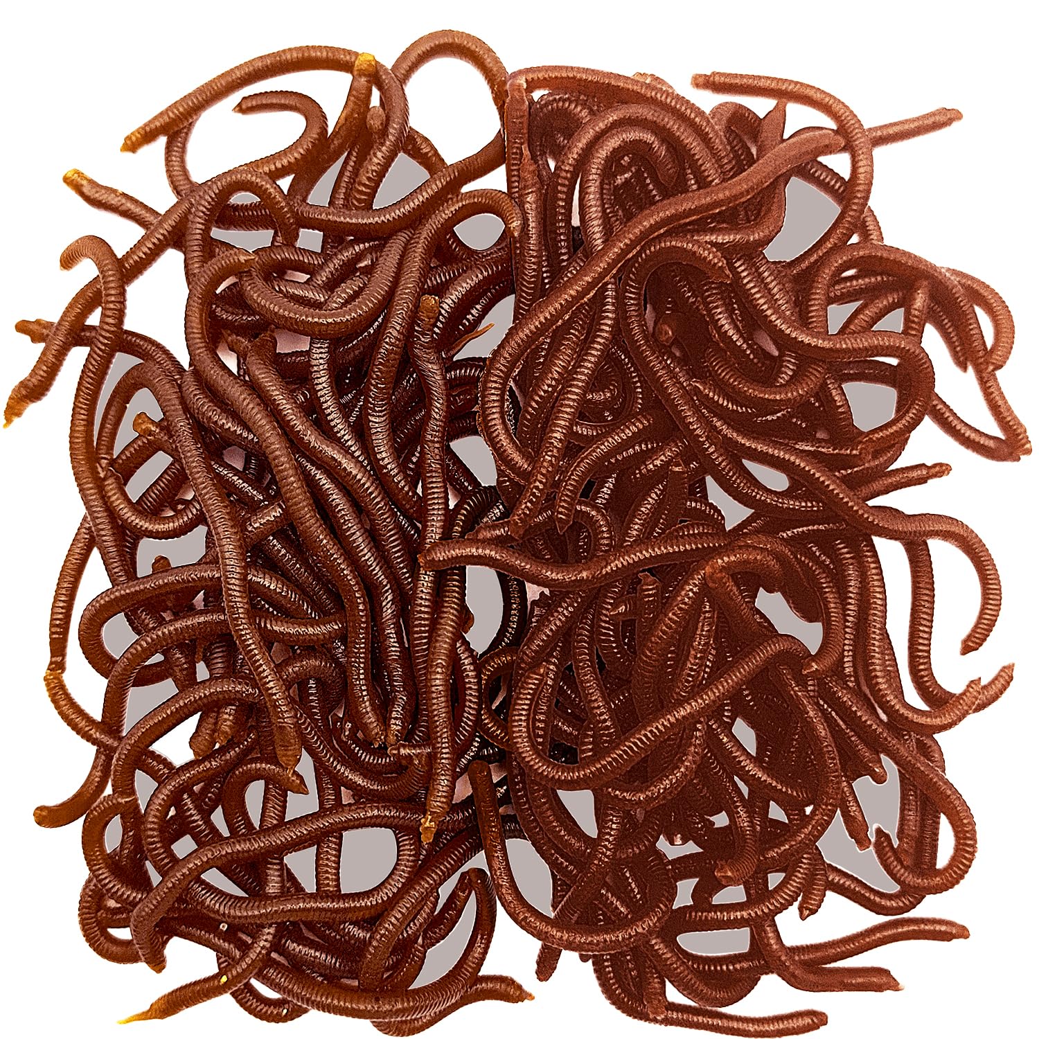 100 Pcs 3.3inch Soft Worms Fishing Lure Baits, Earthworm Baits Lifelike Fake Bloodworm, Fresh Water Fishing Bait, Brown : Sports & Outdoors