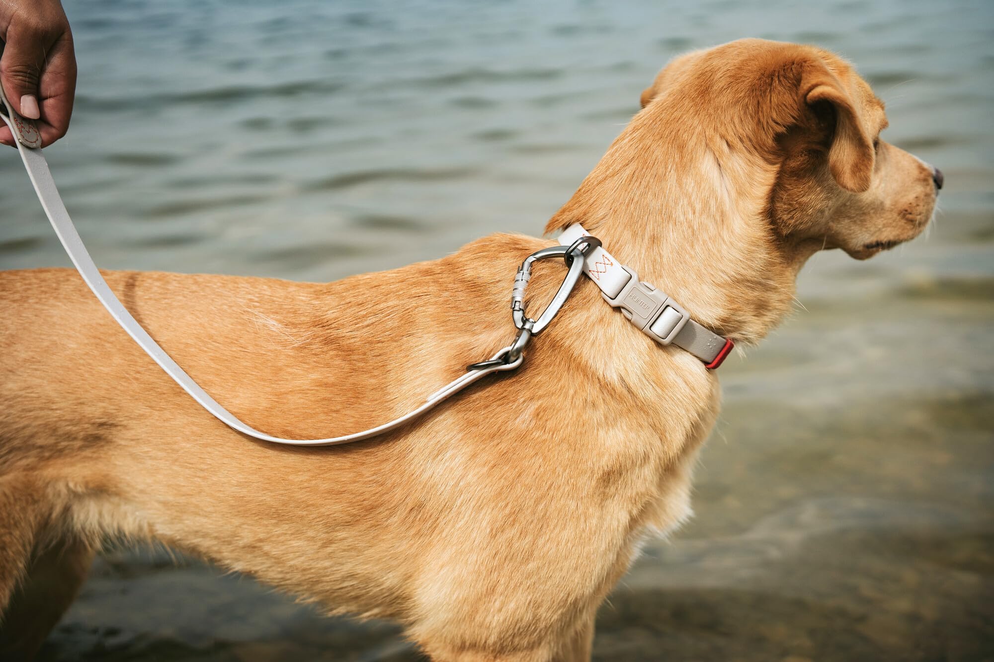 Hunter Guinzaglio regolabile per cani, colore Avana, rivestimento in plastica, regolabile in 3 posizioni, durevole, antistrappo, resistente alle intemperie, facile da pulire, effetto canna di fucile