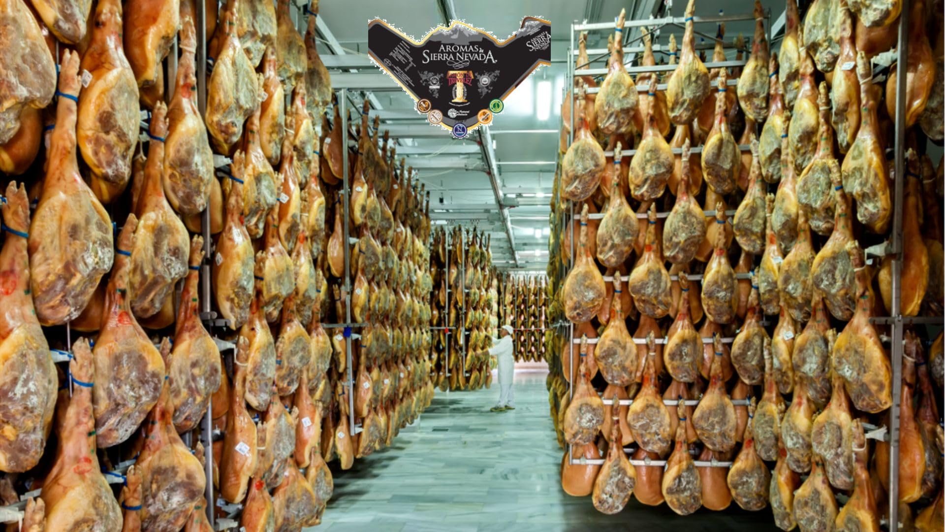 AROMAS SIERRA NEVADA - Jamón Denominación de Trevélez Negro, Curación Superior a 23 meses, Origen España, Curación al Natural en Sierra Nevada,Sin Gluten, Sin Aditivos Ni Conservantes. (8,5kg a 9kg)