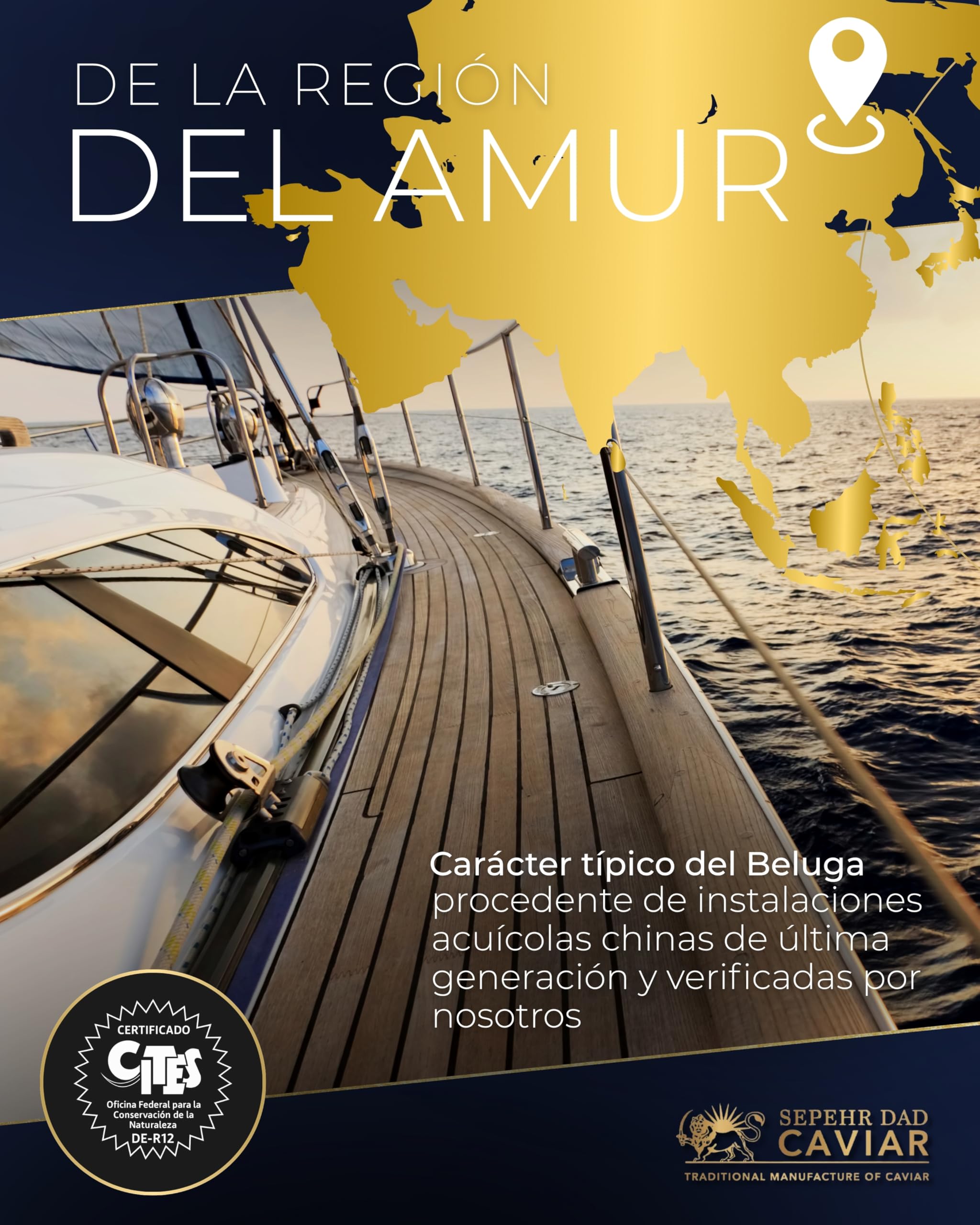 Sepehr Dad Caviar Beluga de l'Amour | Huevas de pescado clase A | cría NC | 30 gramos - 3