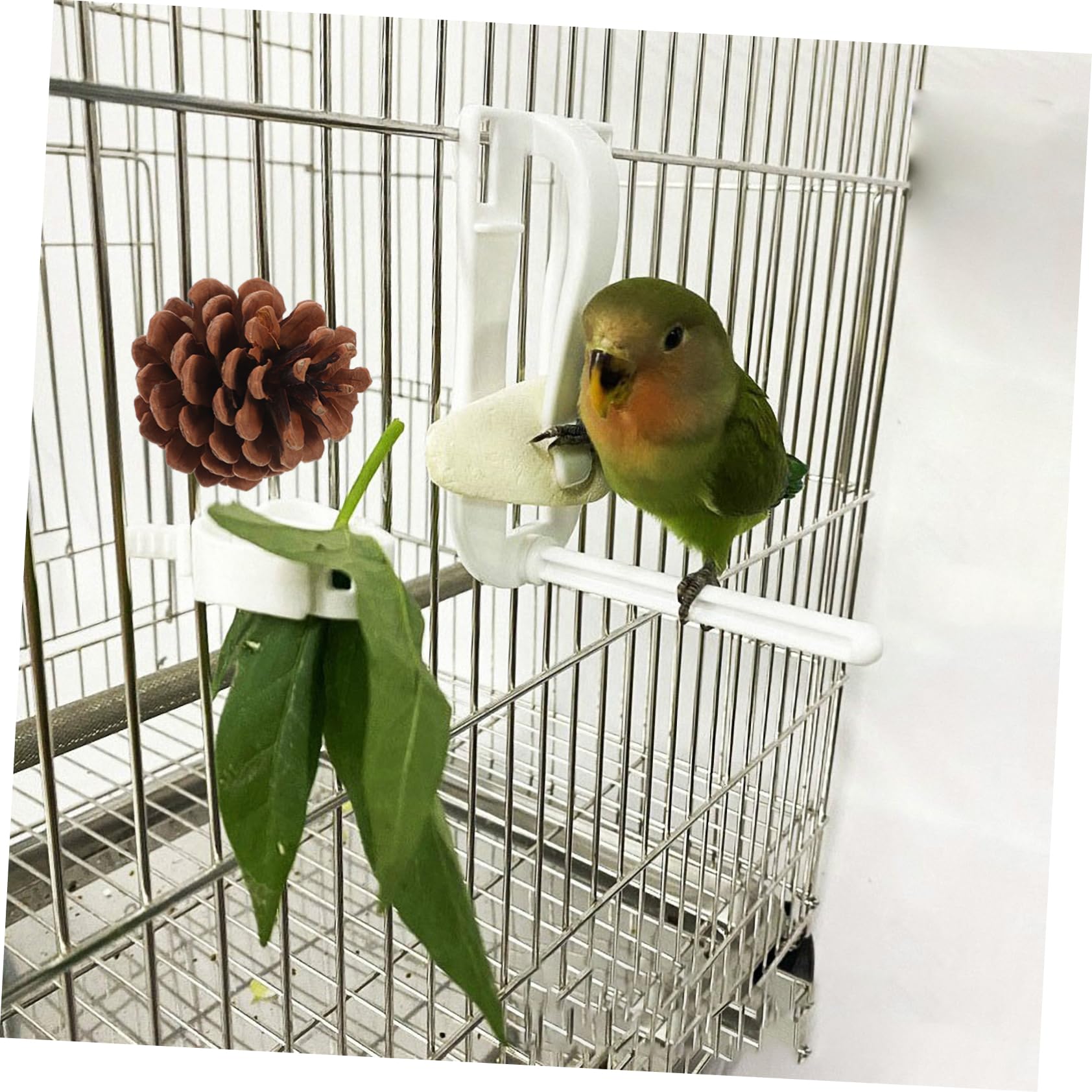 minkissy 50 piezas de juguete masticable para pájaros, juguetes de cacatúa, jaula de pájaros, juguete para mascotas, periquito, jaula de pájaros, suministros de loro, juguetes para pájaros, conos de
