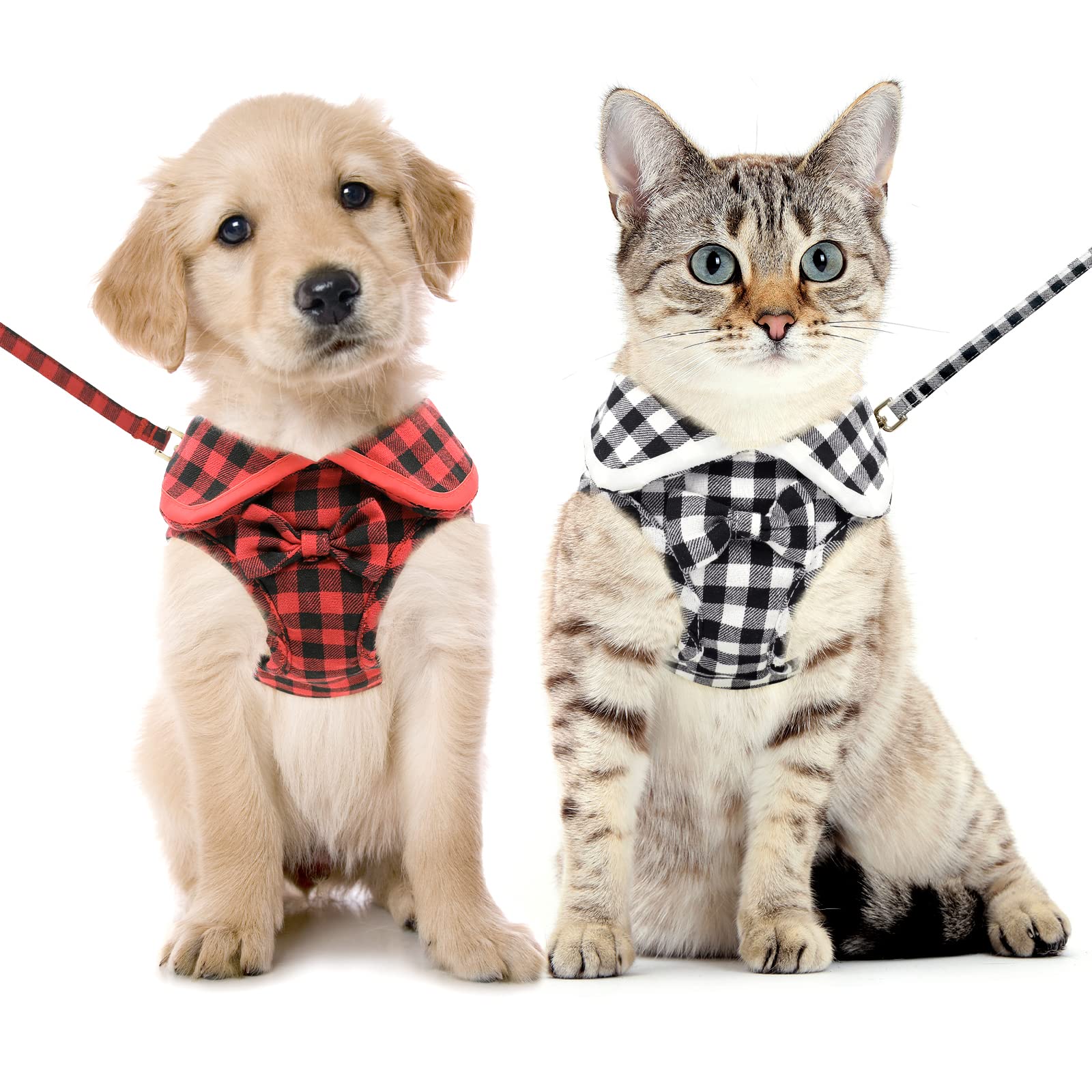 Will Stevia Hurt Dogs