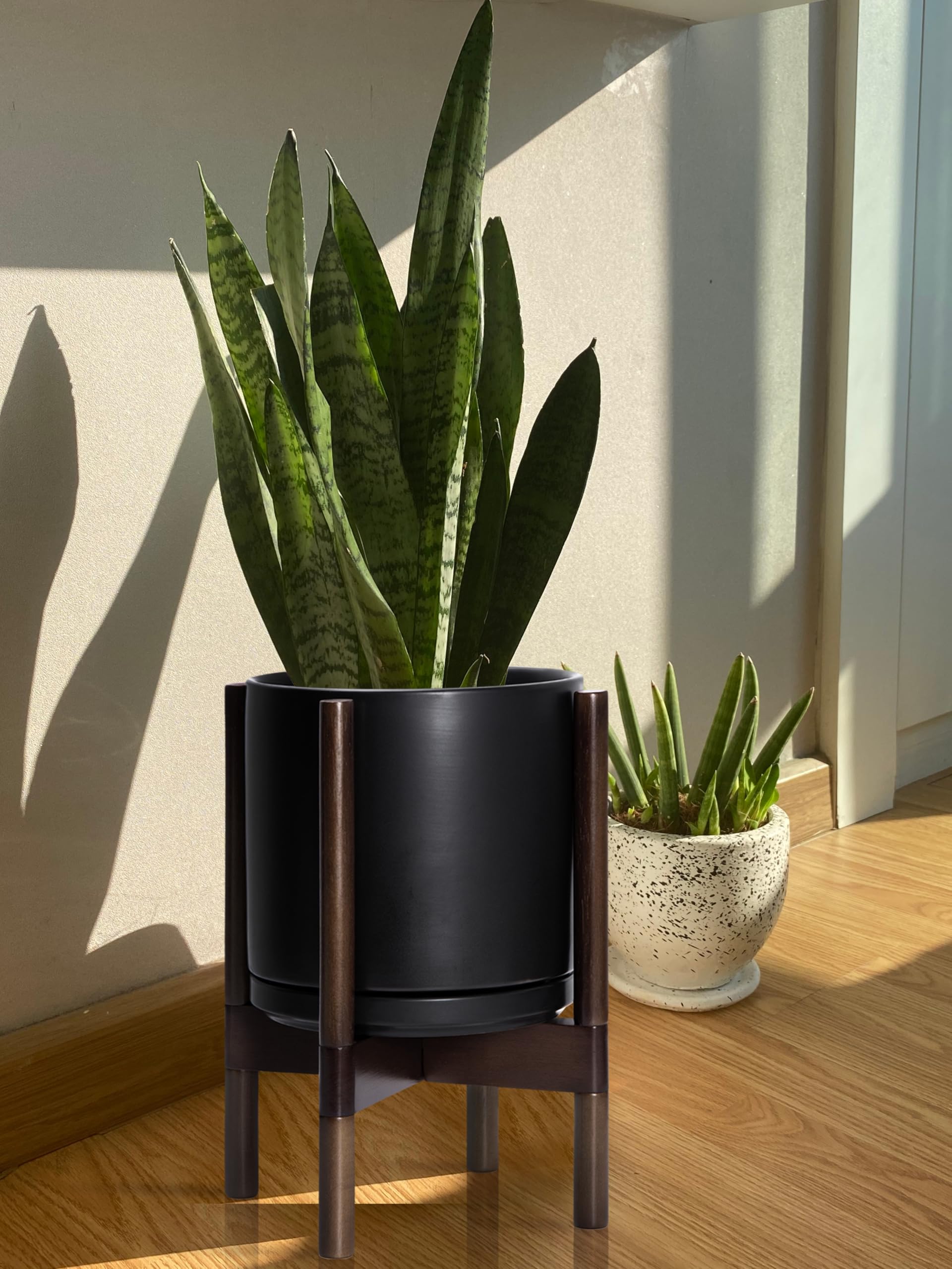 Amazon.com : D'vine Dev Ceramic Planter with Walnut Color Stand