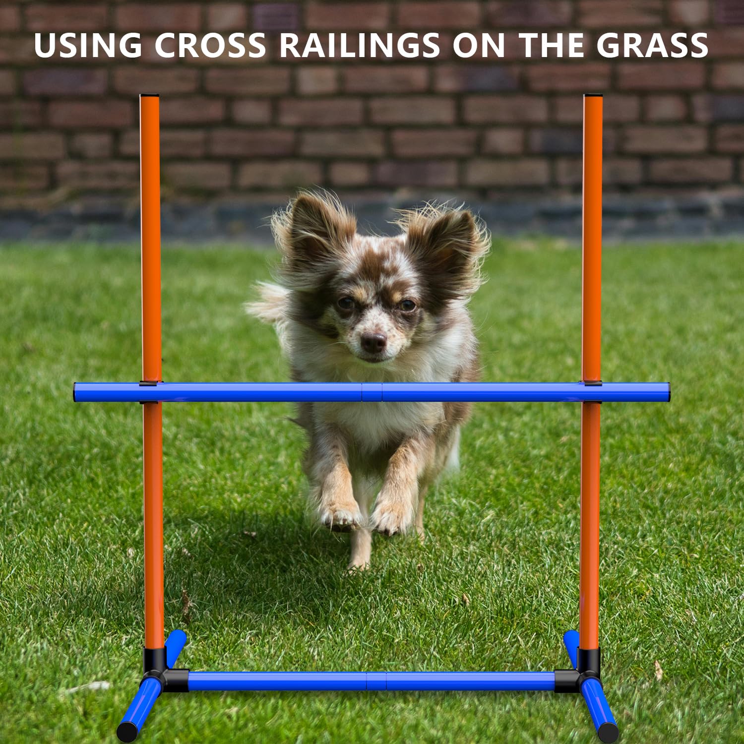Agility-Trainingsset für Hunde, Hindernisset mit Slalomstangen, Hundesport-Ausrüstung, für Große und Kleine Hunde (4Set)