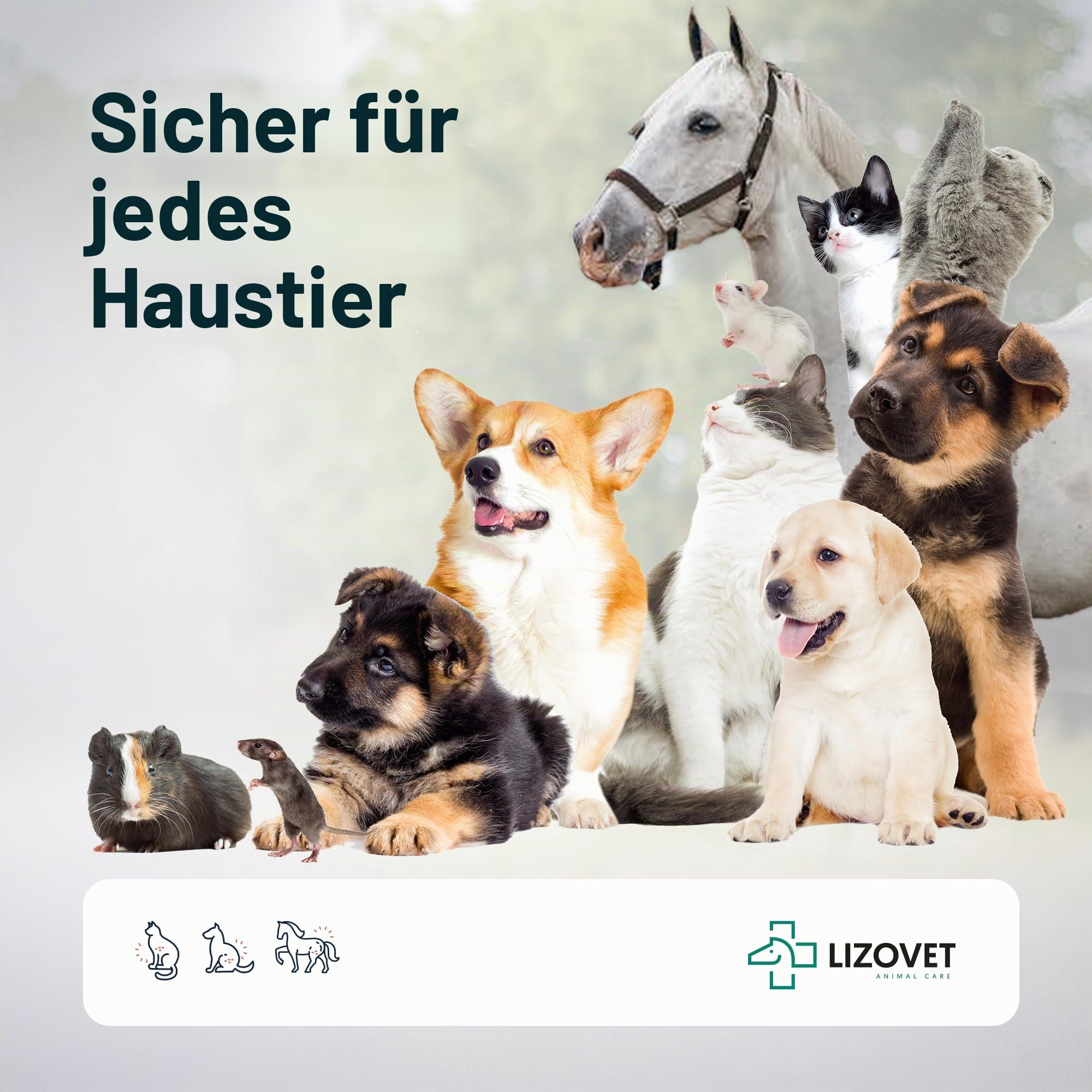 Hautpflege für Tiere, unterstützend bei der Hautregeneration, regenerationsförderndes Mittel, Salbe 40x4 ml, pflegend, antibakteriell, hydratisierend, geeignet für Pferde, Hunde und Nutztiere | Antibakteriell, hydratisierend, pflegend, für Pferde, Hunde u